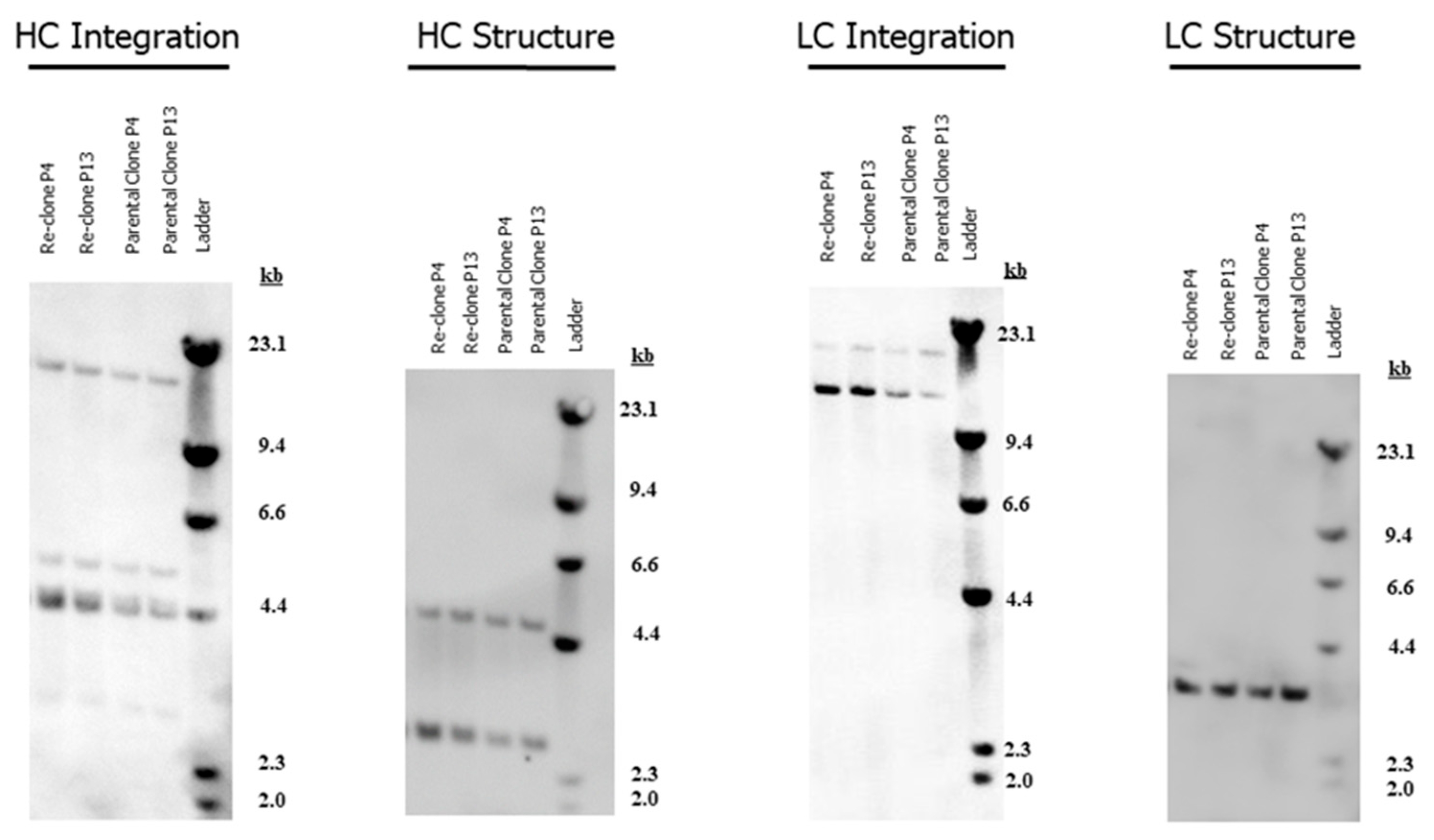 Bioengineering 09 00173 g008