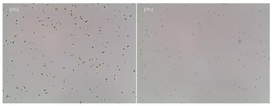 Bioengineering 09 00178 g0a1 550