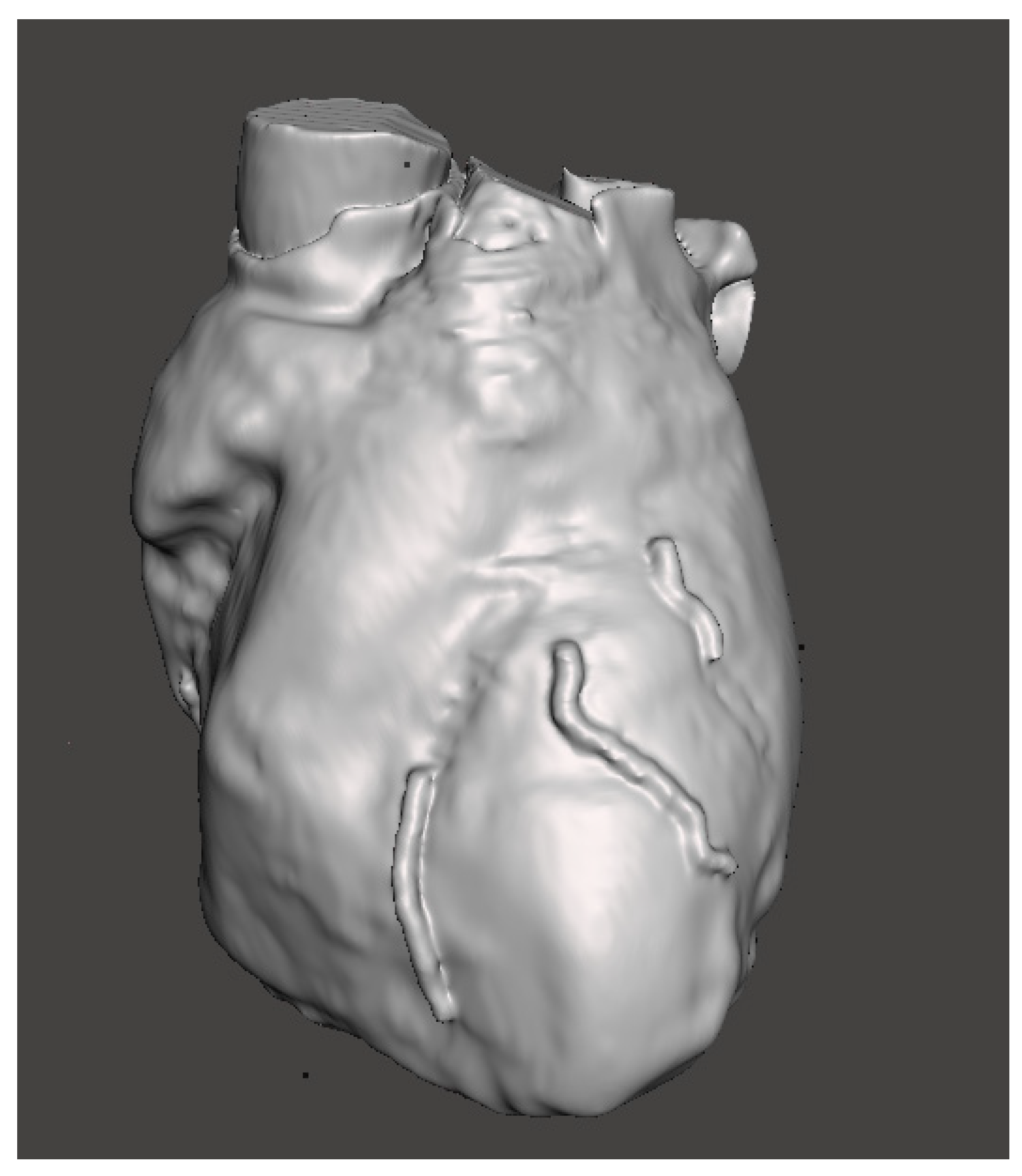 Bioengineering 09 00179 g003
