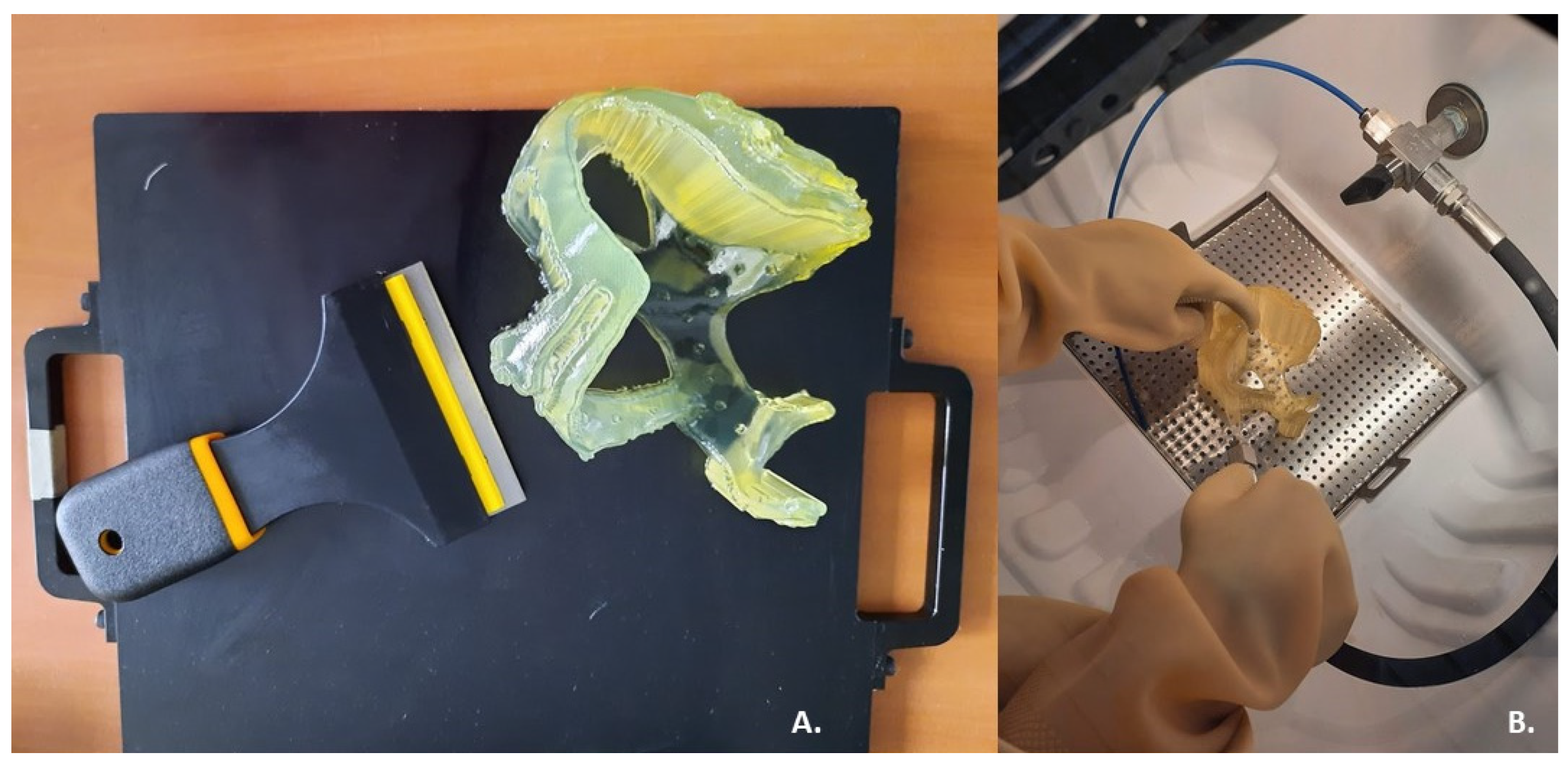 Bioengineering 09 00179 g005