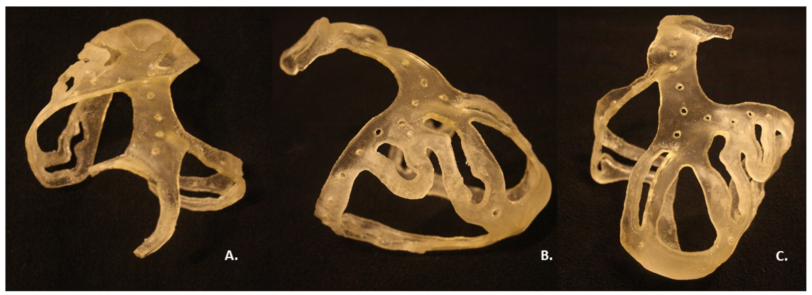 Bioengineering 09 00179 g006