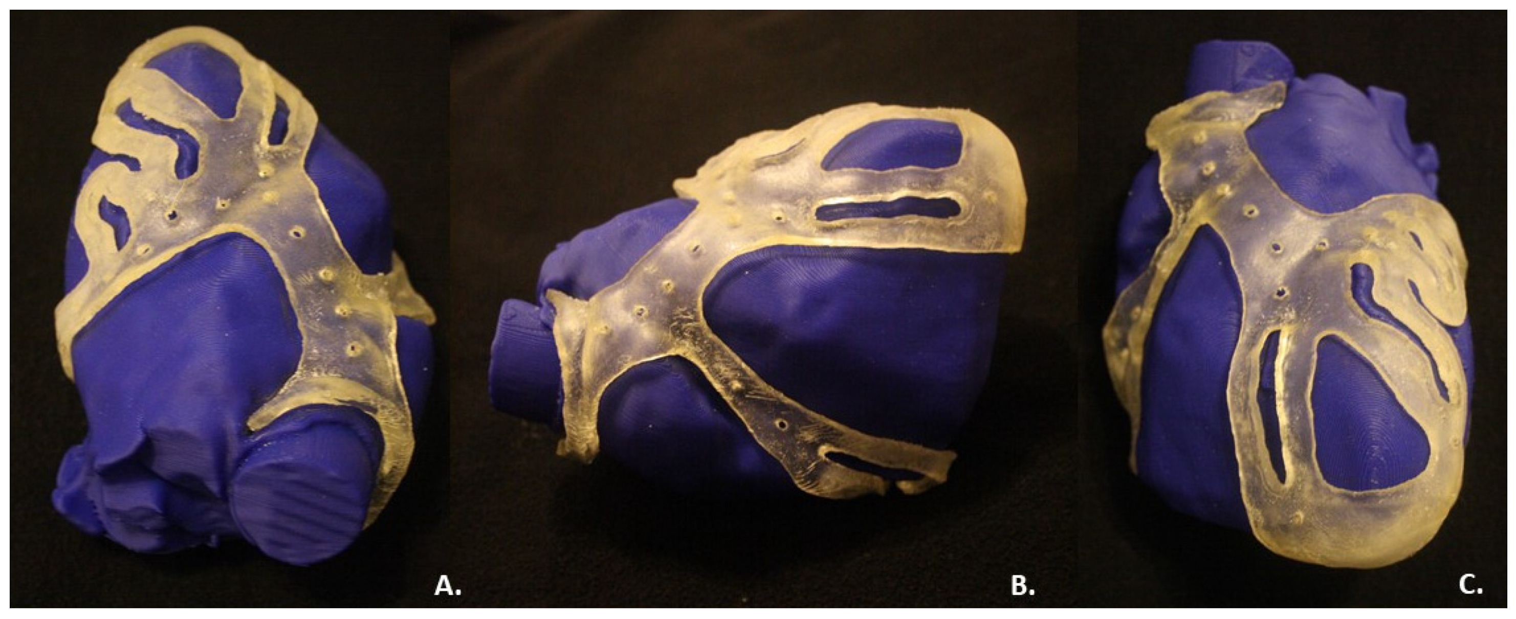 Bioengineering 09 00179 g007