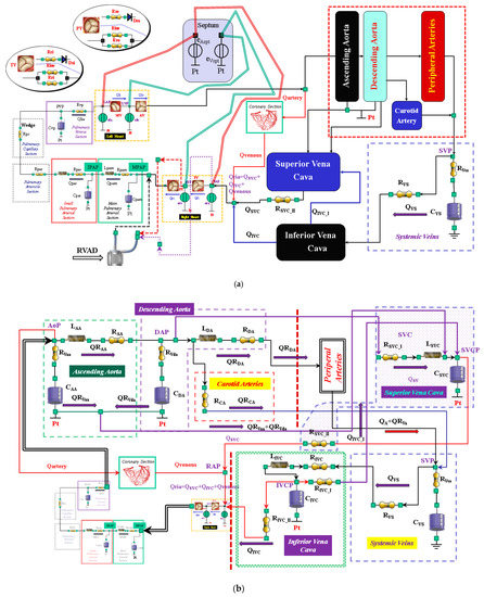 Bioengineering 09 00181 g001a 550