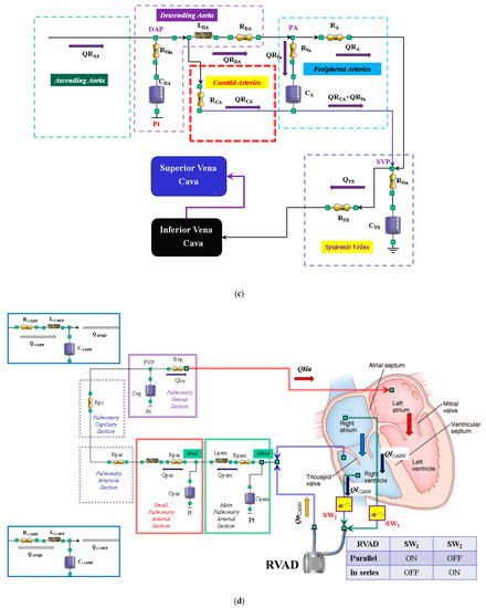 Bioengineering 09 00181 g001b 550