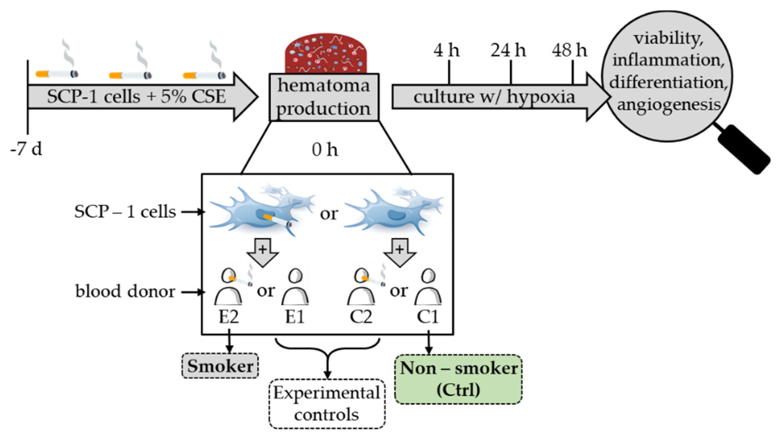 Bioengineering 09 00186 g001