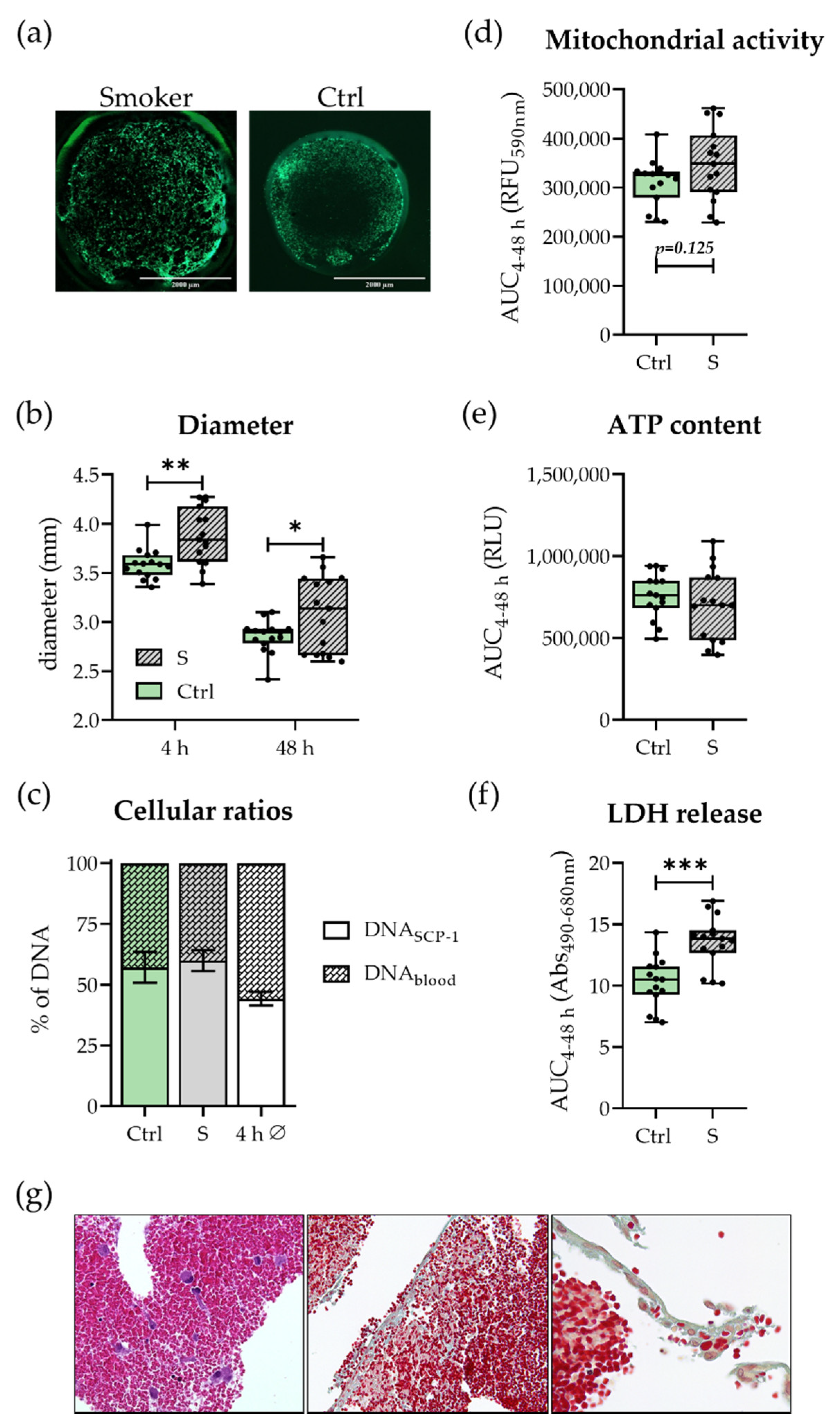 Bioengineering 09 00186 g002