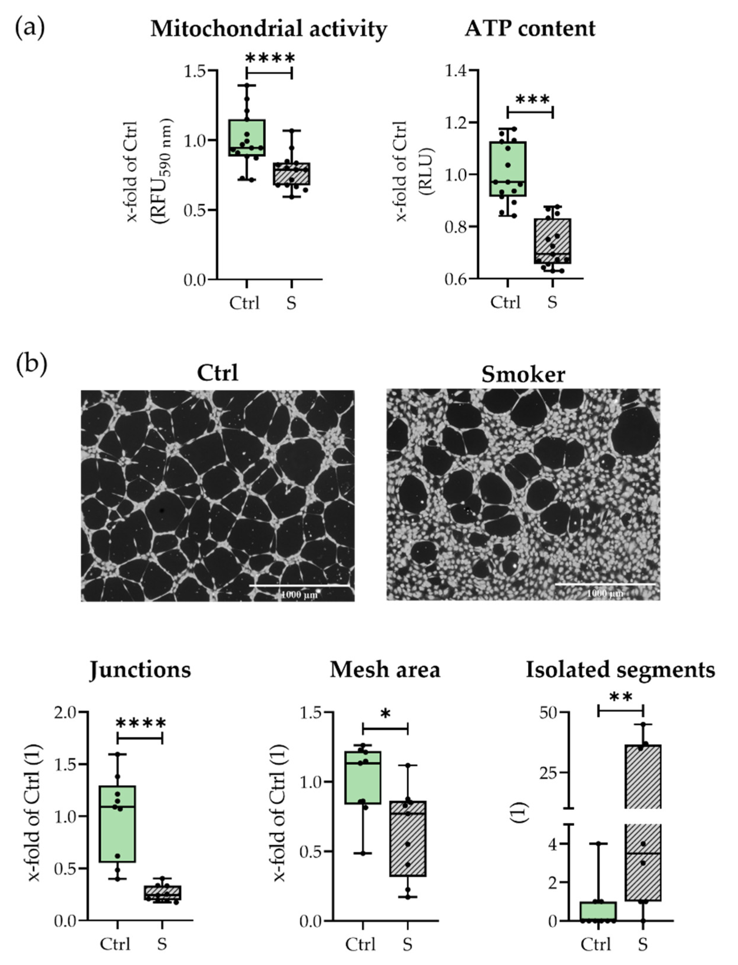 Bioengineering 09 00186 g006