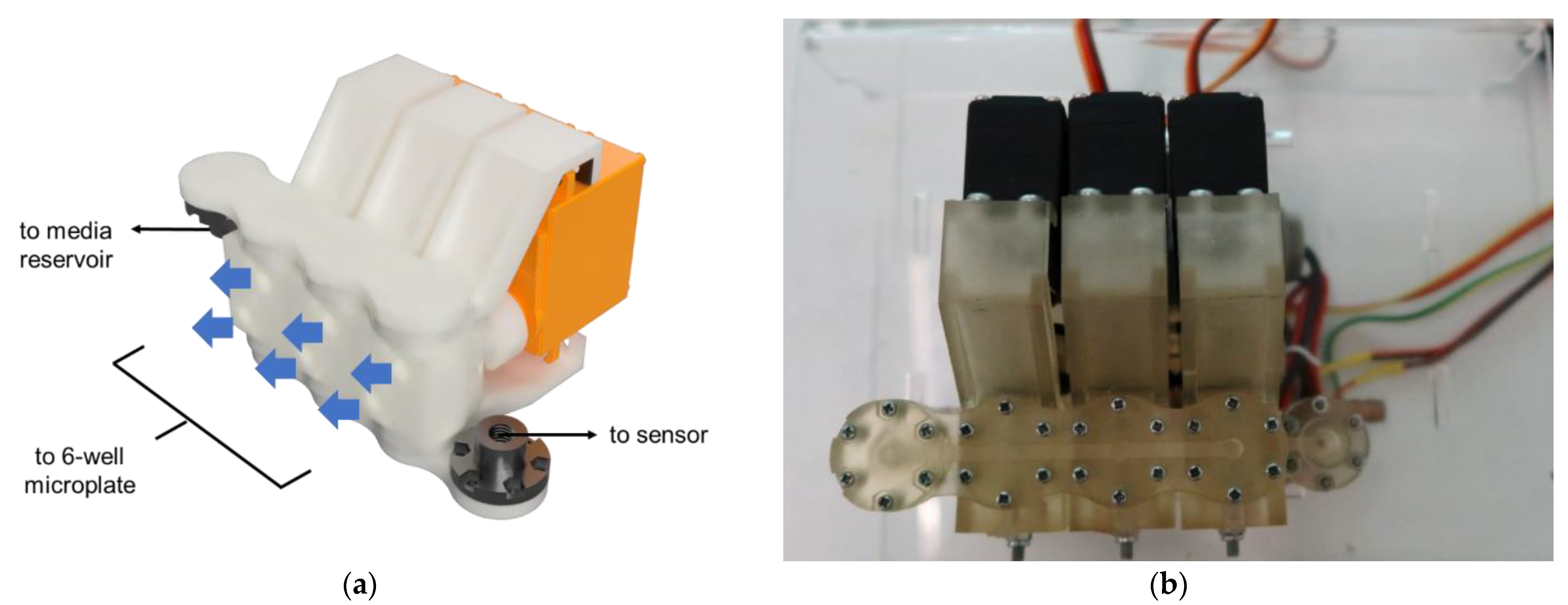 Bioengineering 09 00187 g004