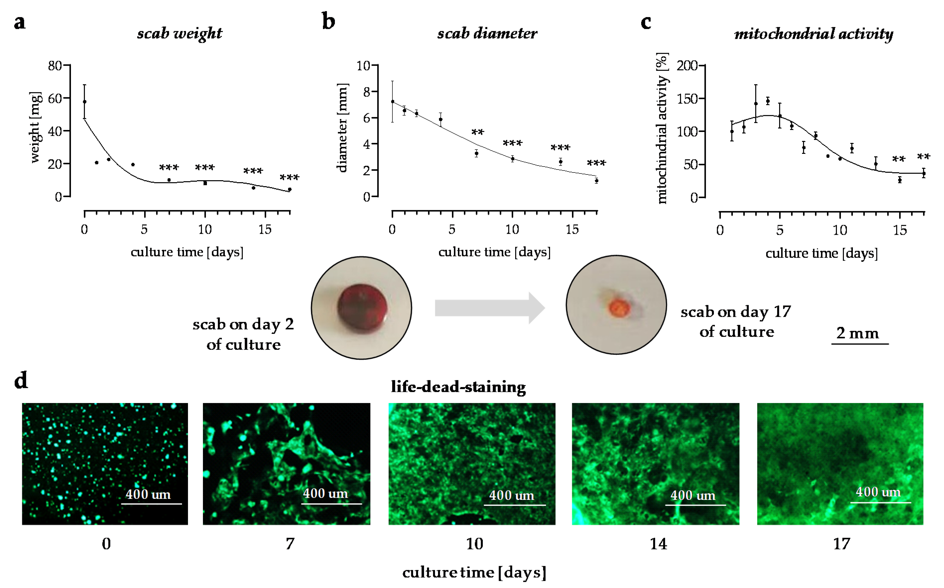 Bioengineering 09 00191 g001