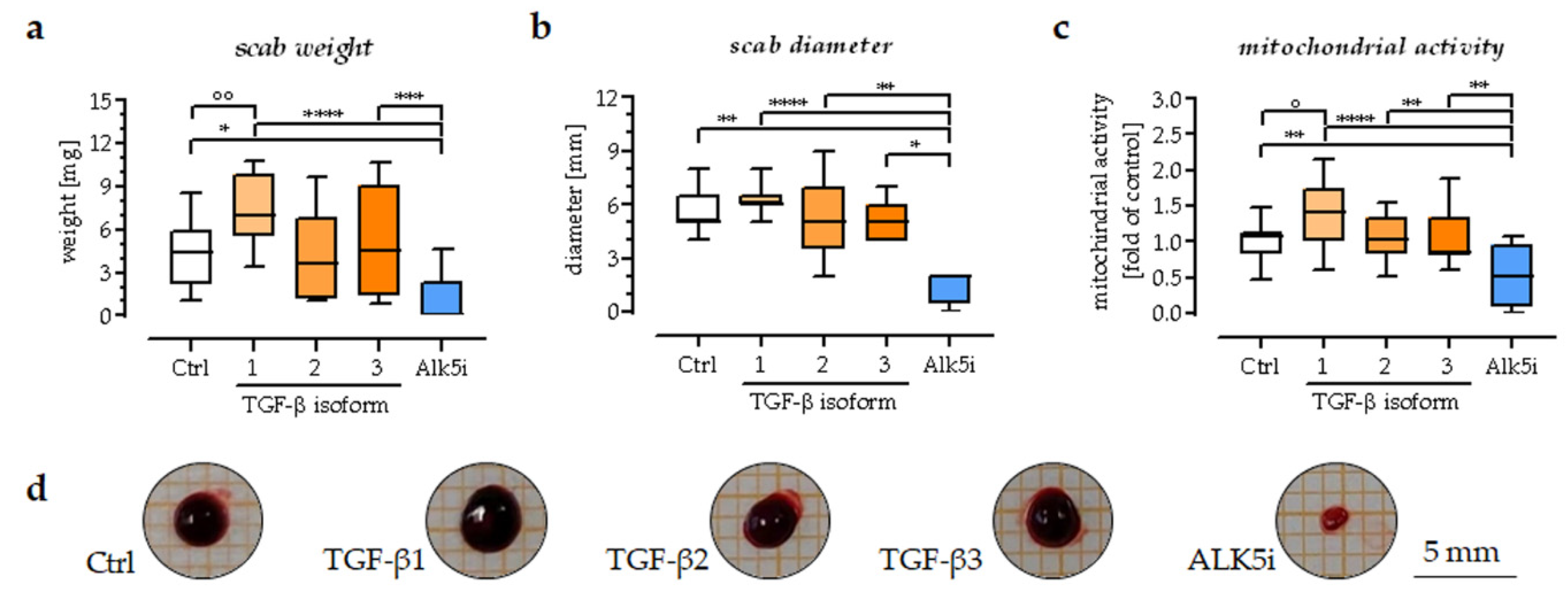 Bioengineering 09 00191 g006