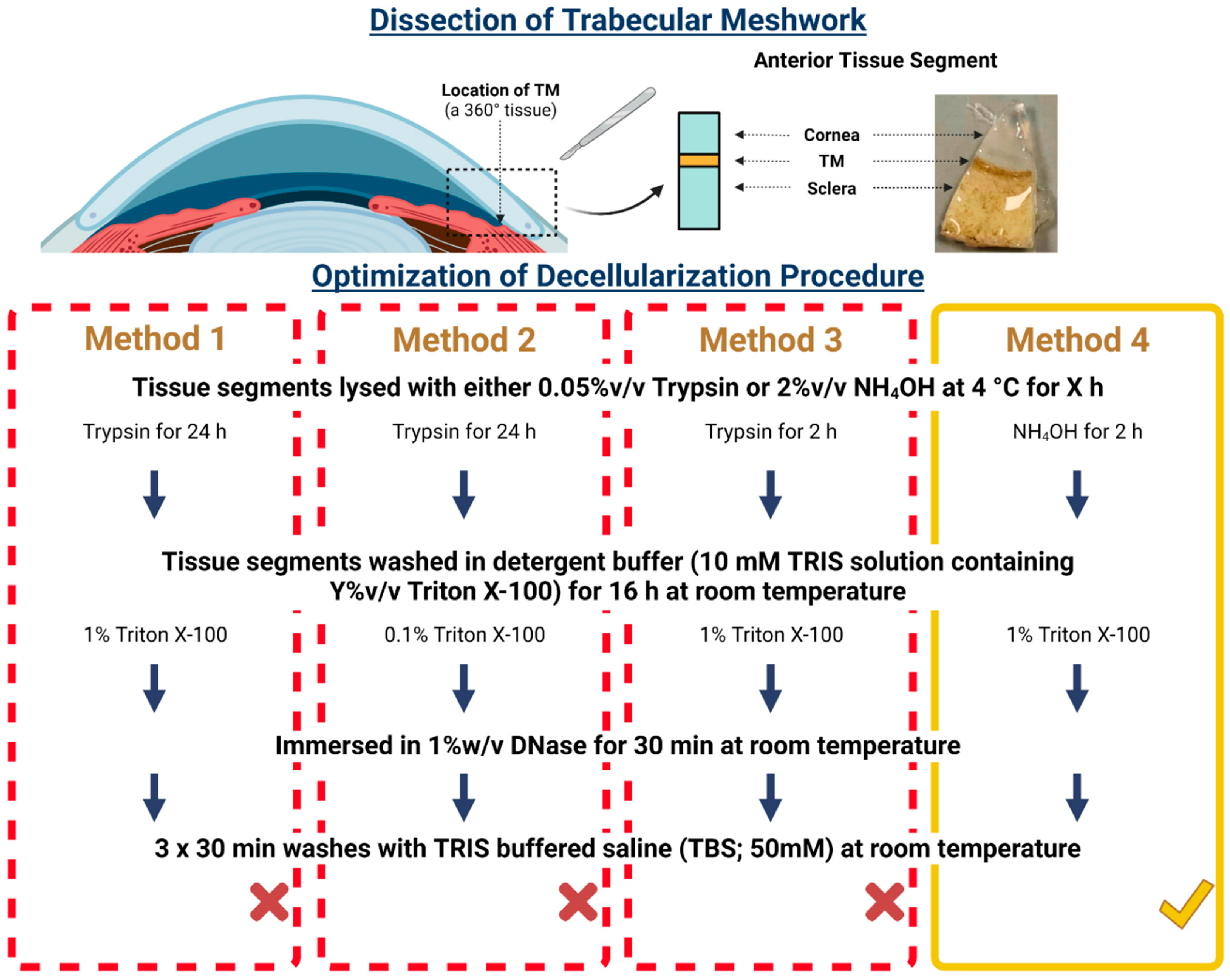 Bioengineering 09 00194 g001