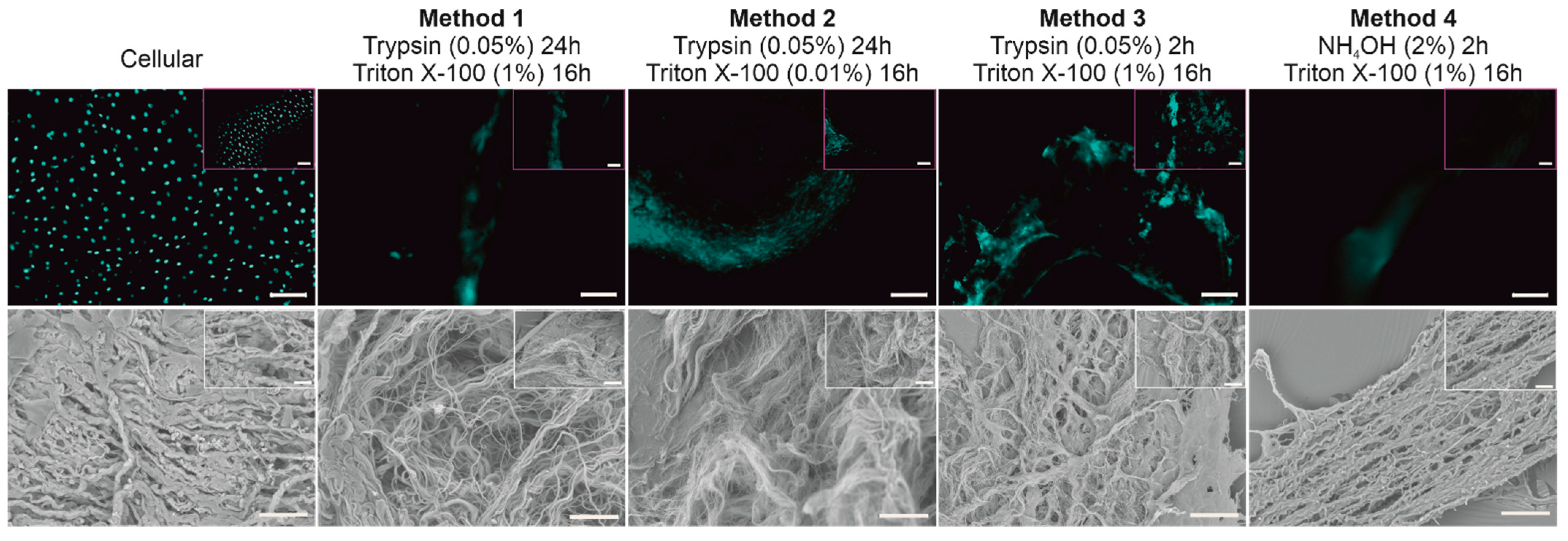 Bioengineering 09 00194 g002