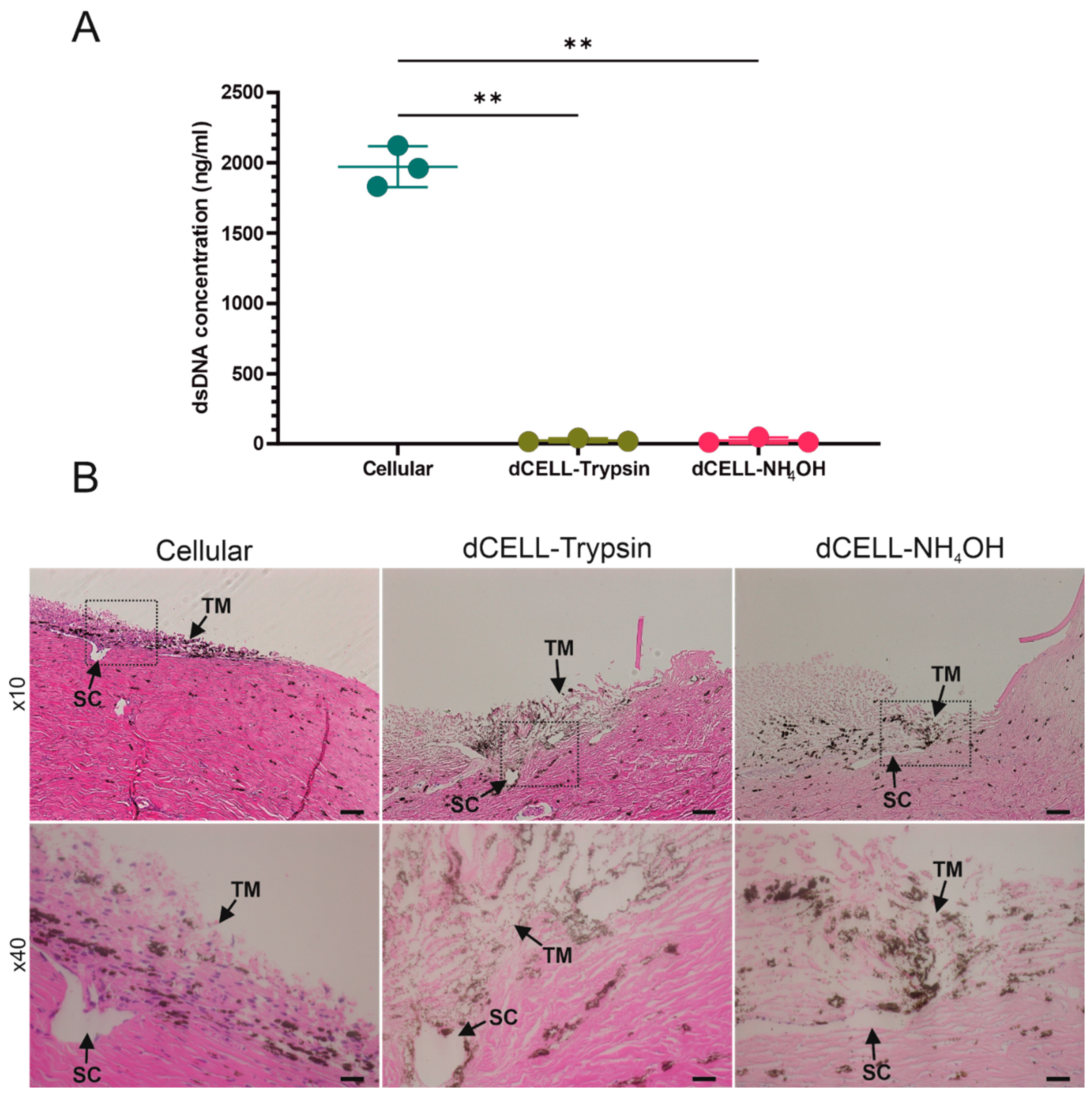 Bioengineering 09 00194 g003