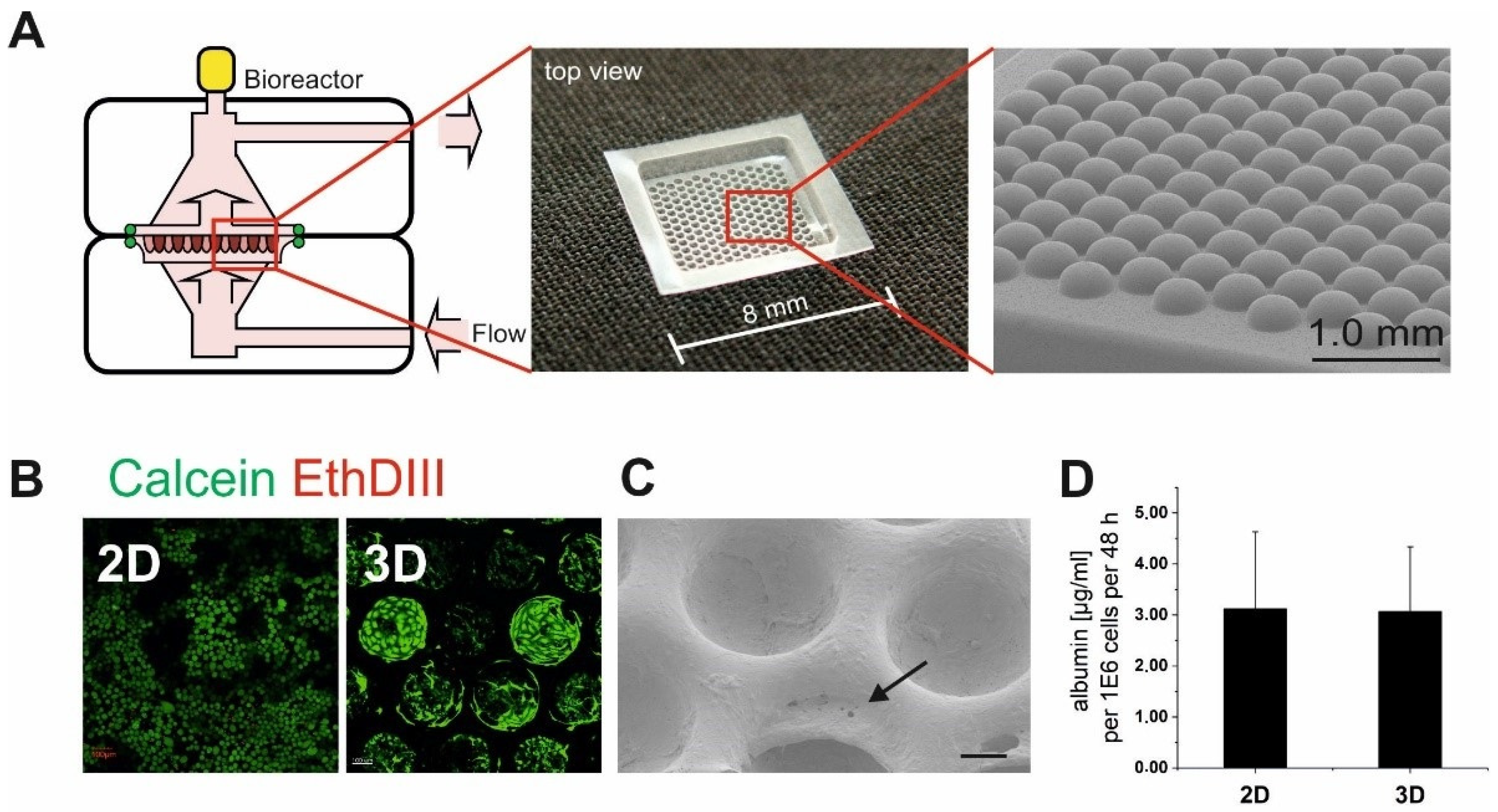 Bioengineering 09 00196 g001