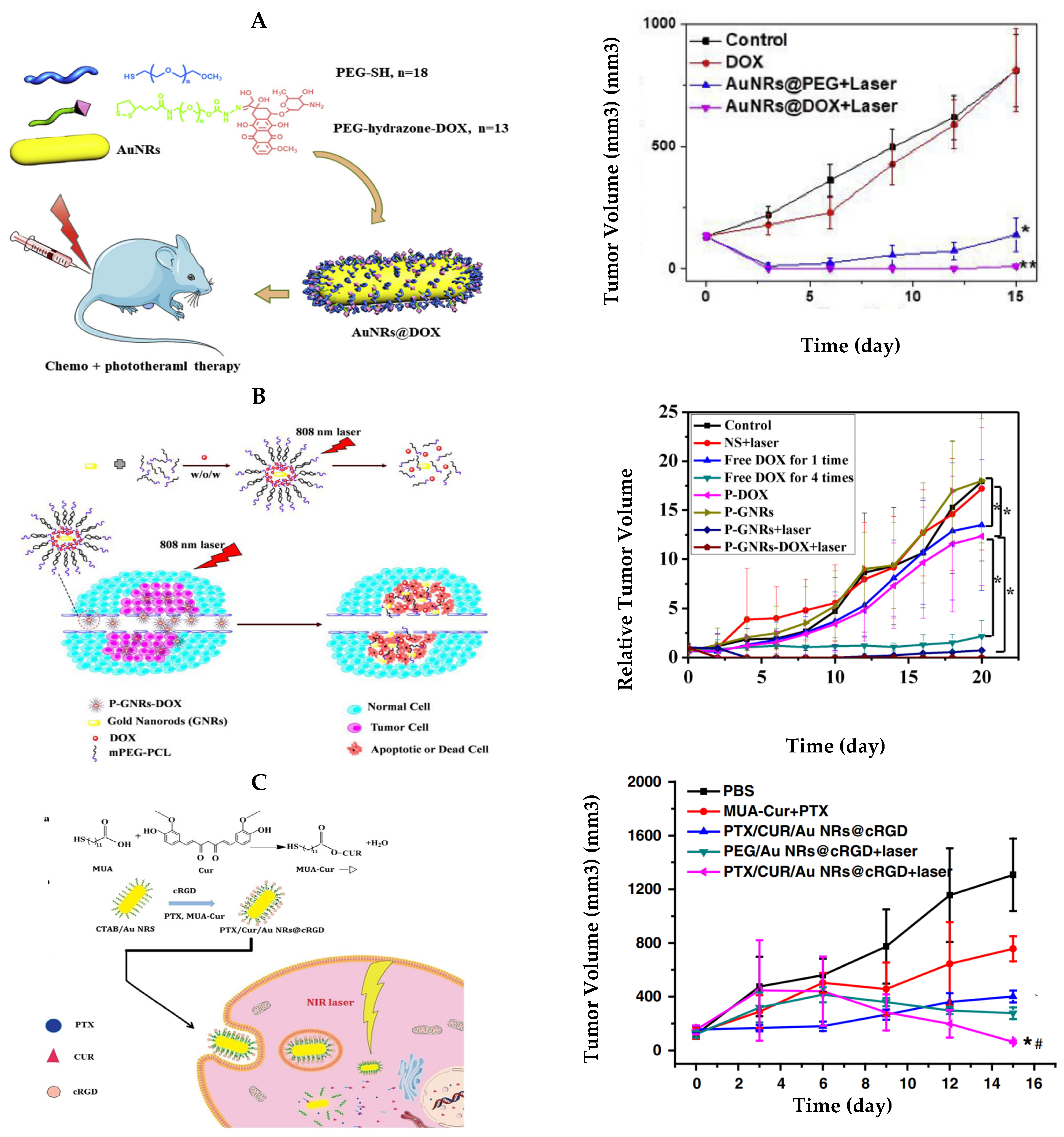 Bioengineering 09 00200 g004