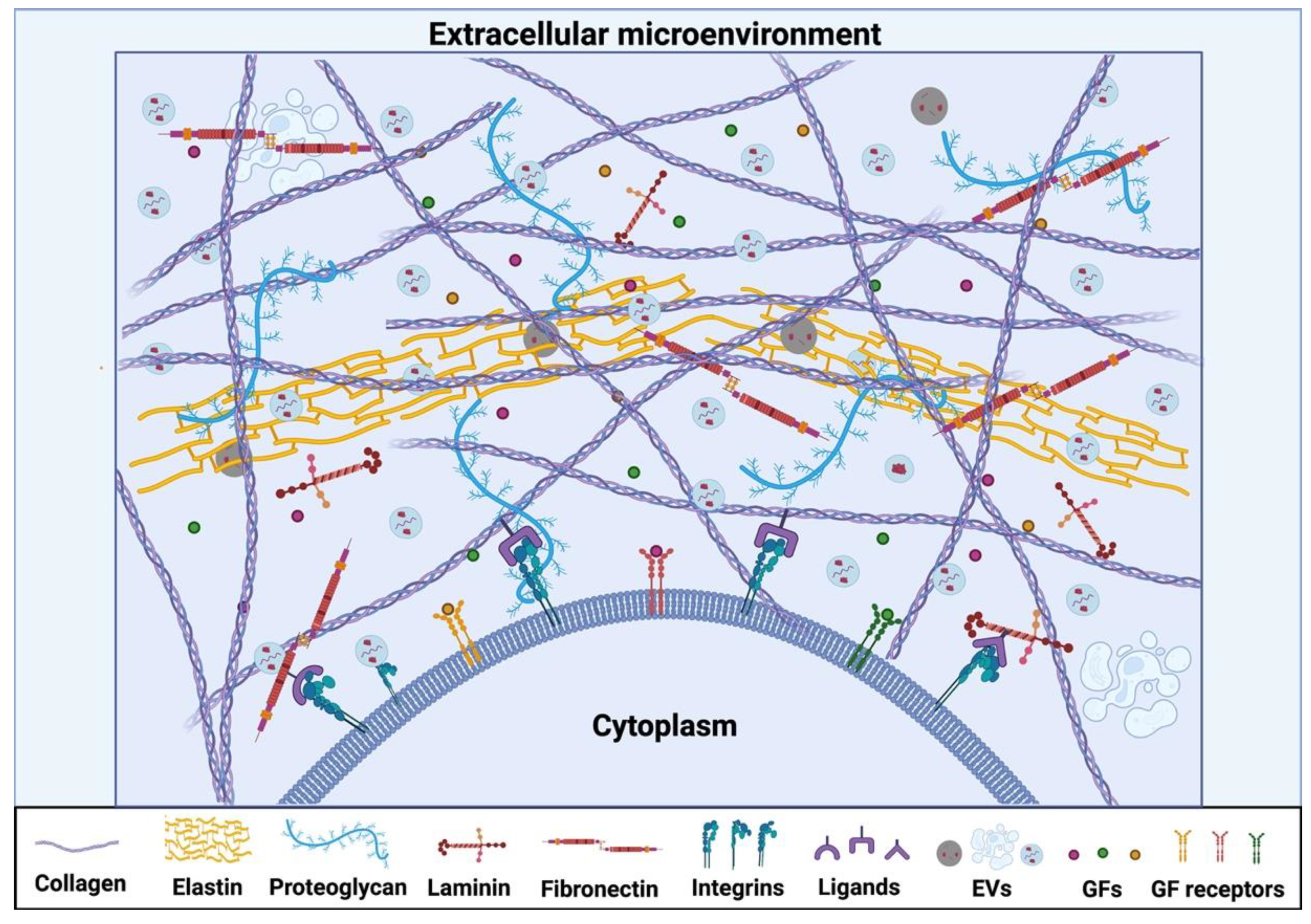 Bioengineering 09 00202 g001