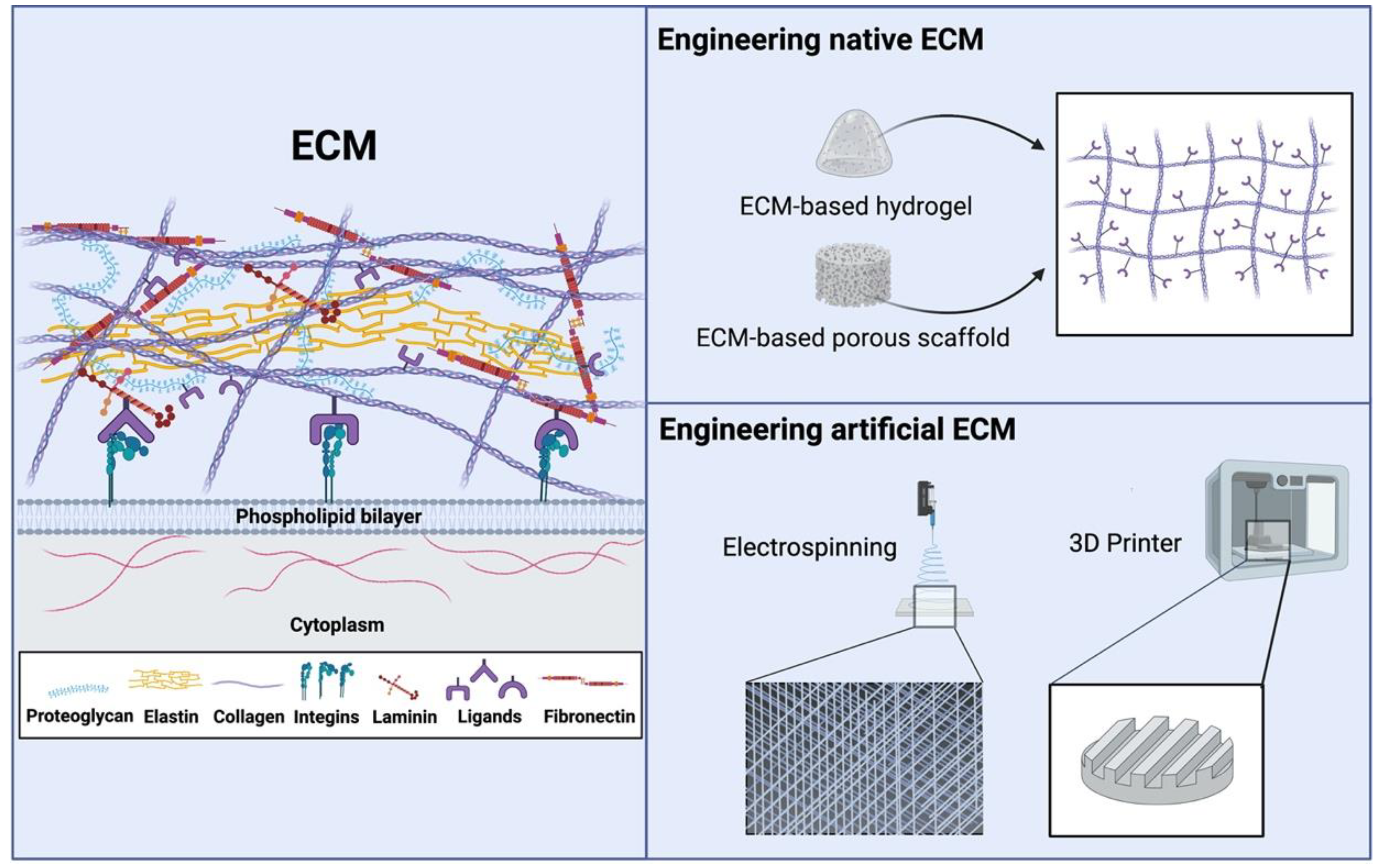 Bioengineering 09 00202 g002