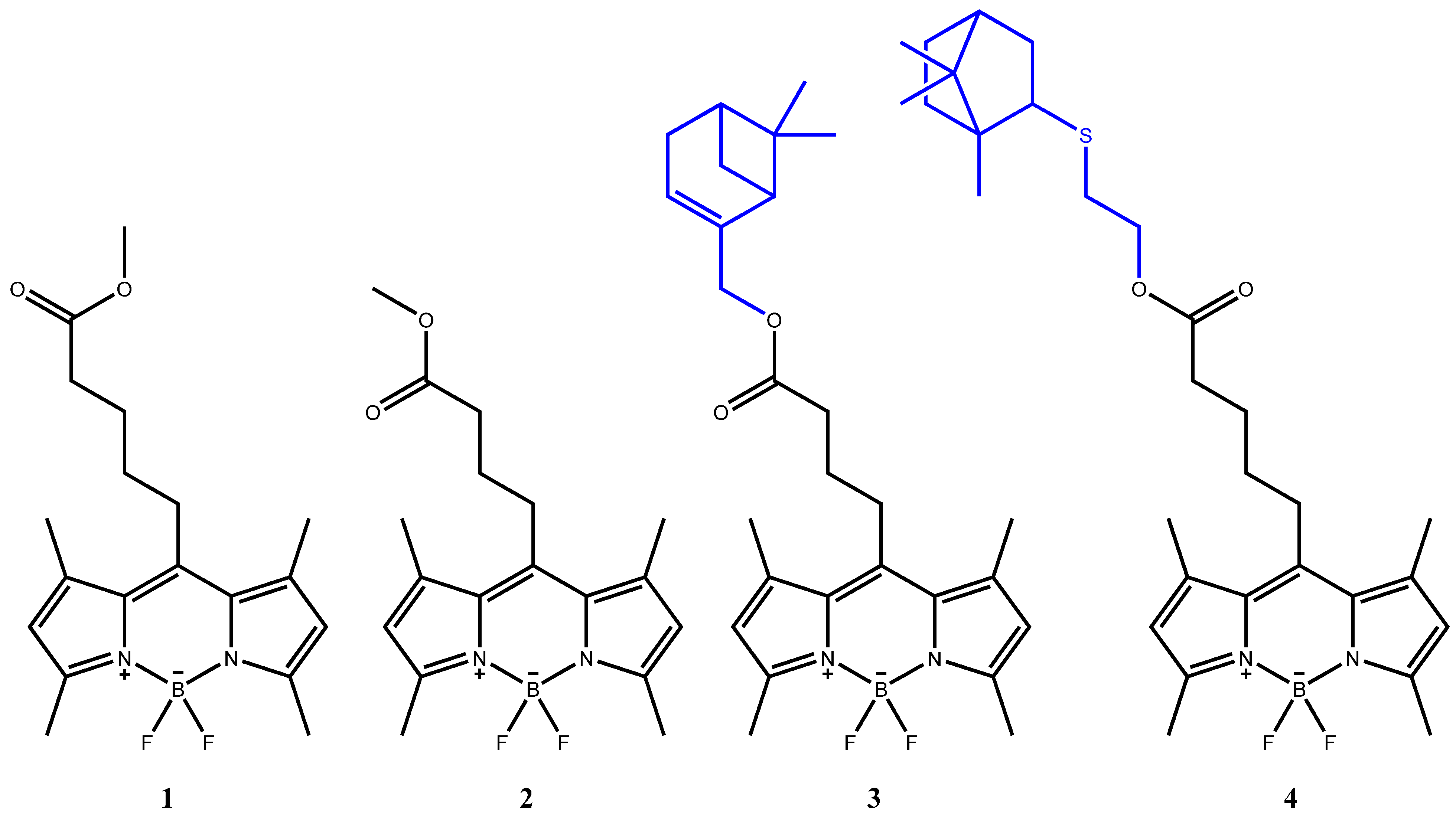 Bioengineering 09 00210 g001