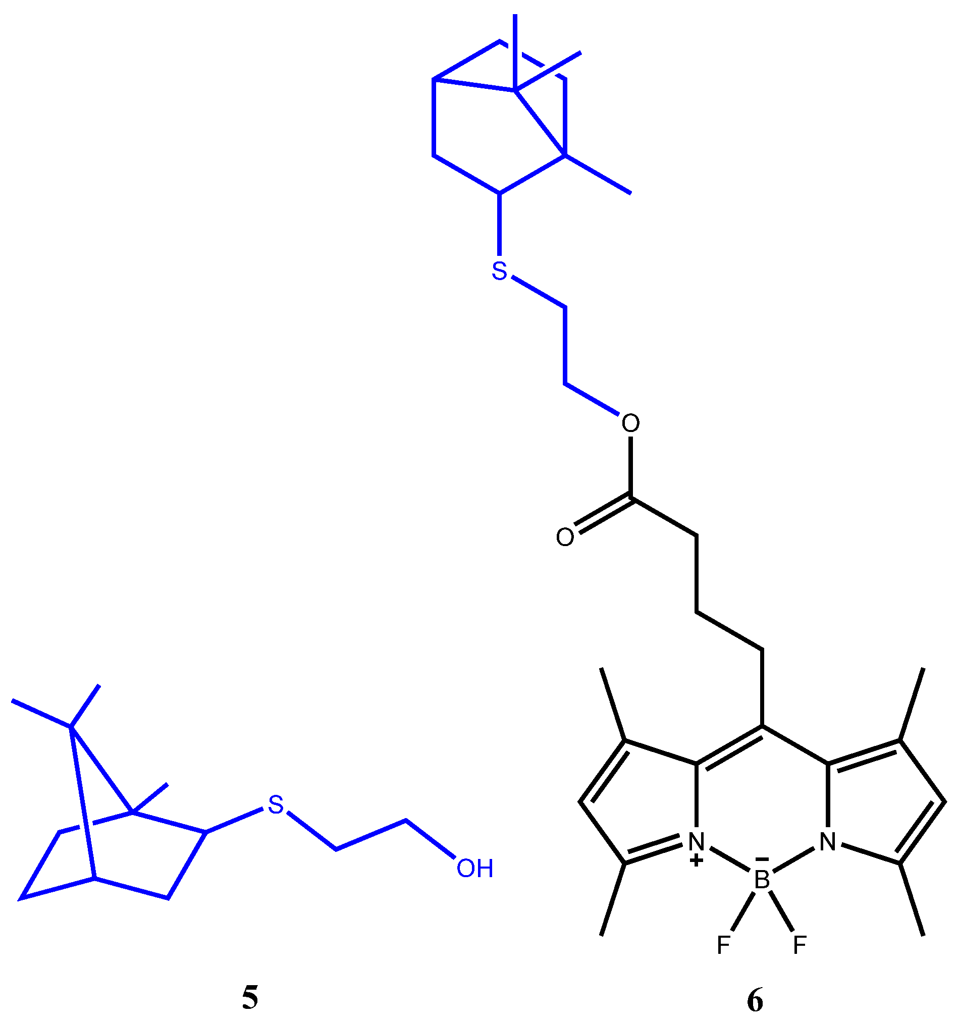 Bioengineering 09 00210 g002