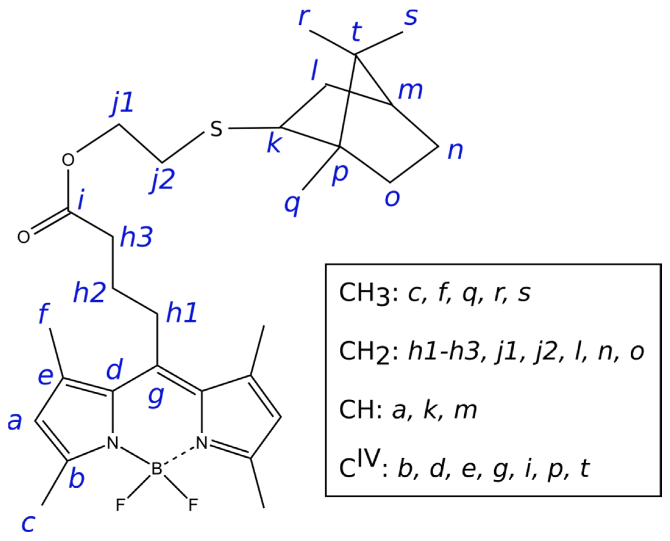 Bioengineering 09 00210 g003