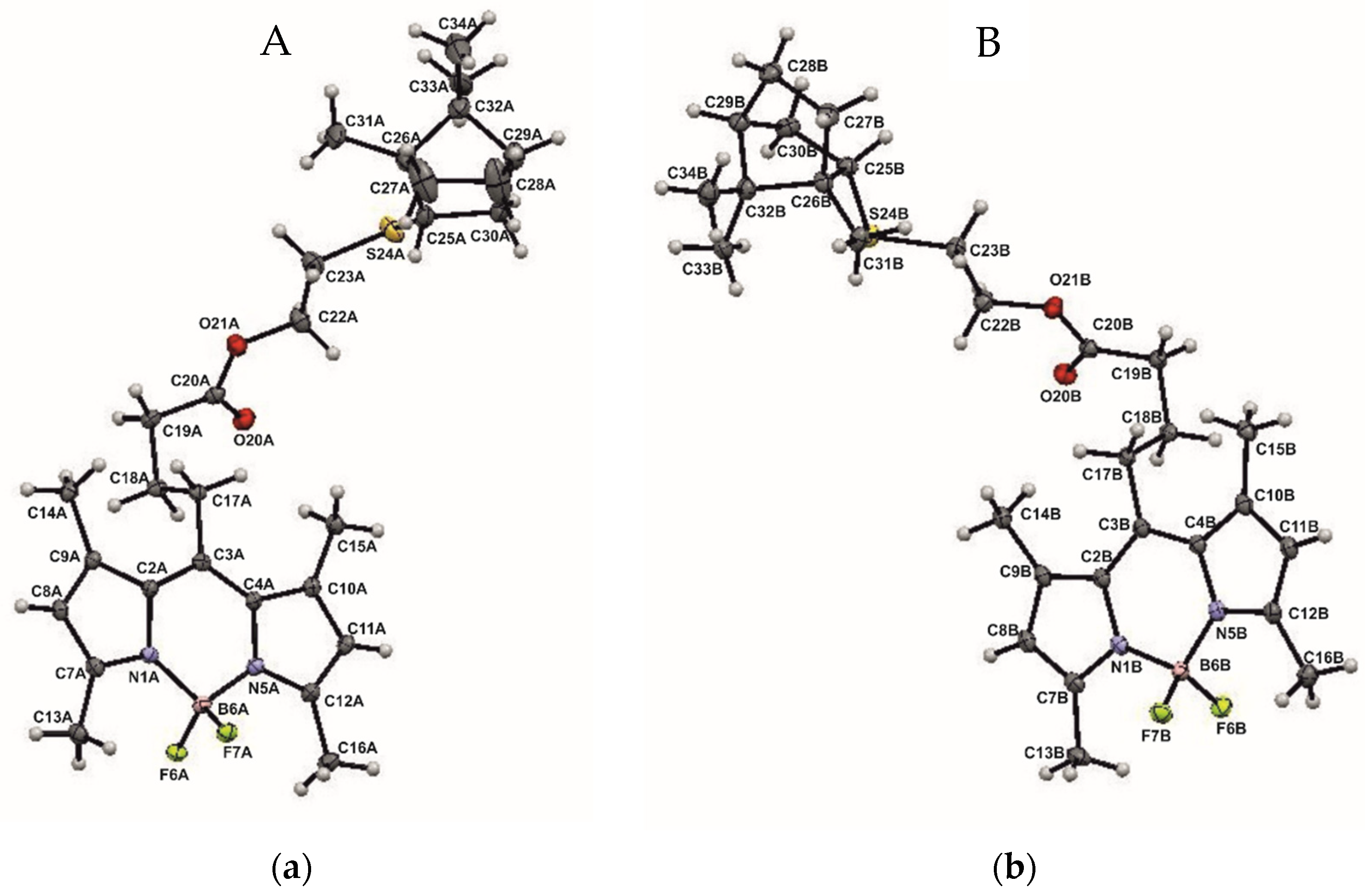 Bioengineering 09 00210 g004