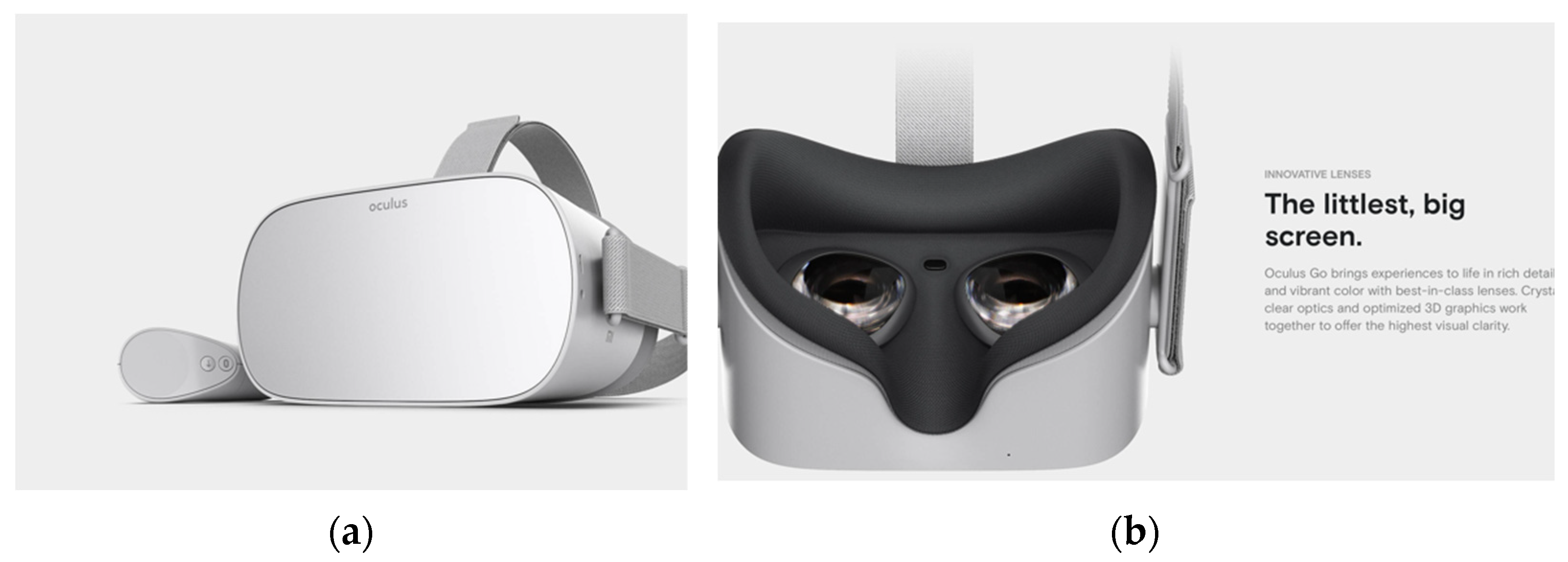 Bioengineering 09 00211 g001 Bioengineering 09 00211 g001