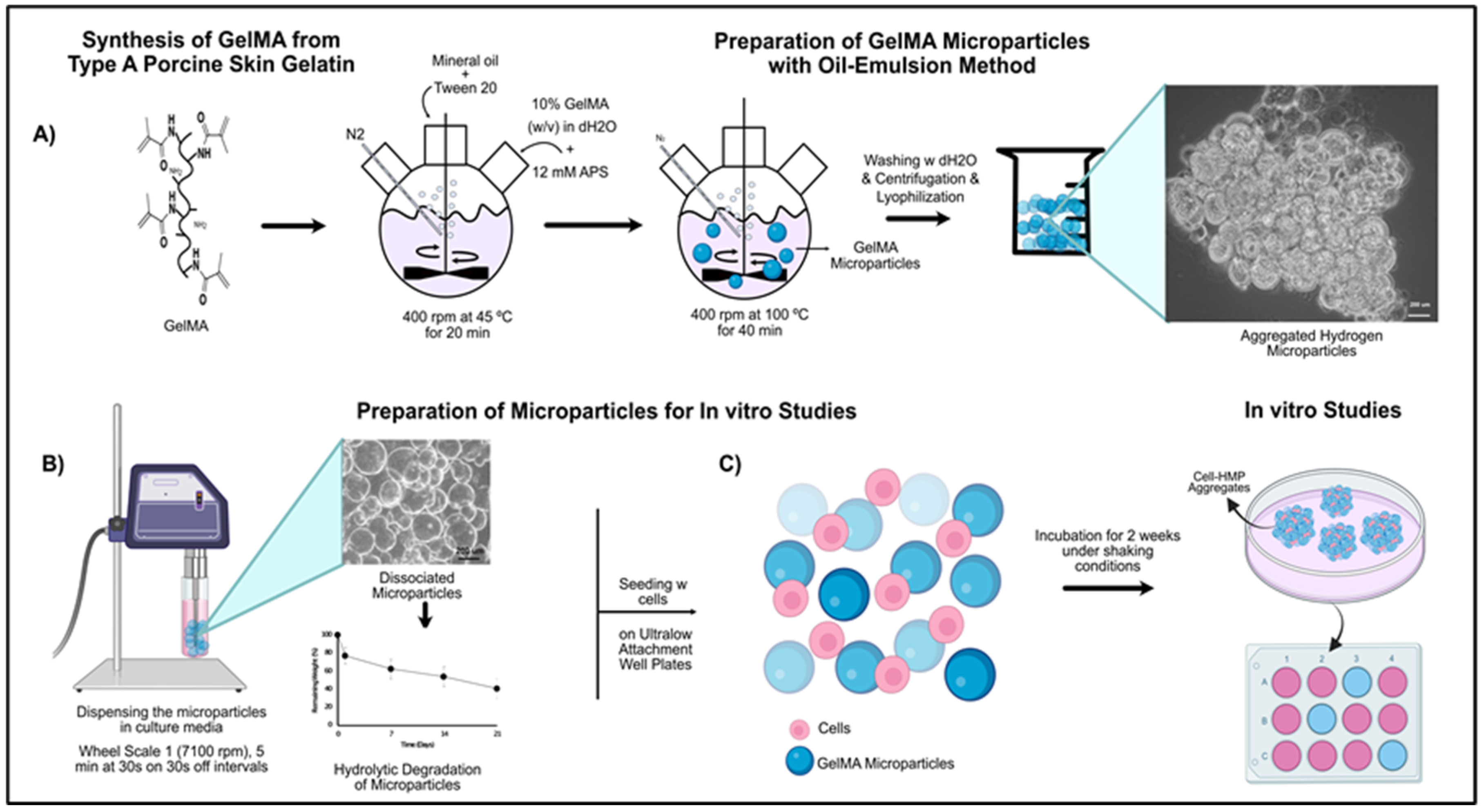 Bioengineering 09 00215 g001