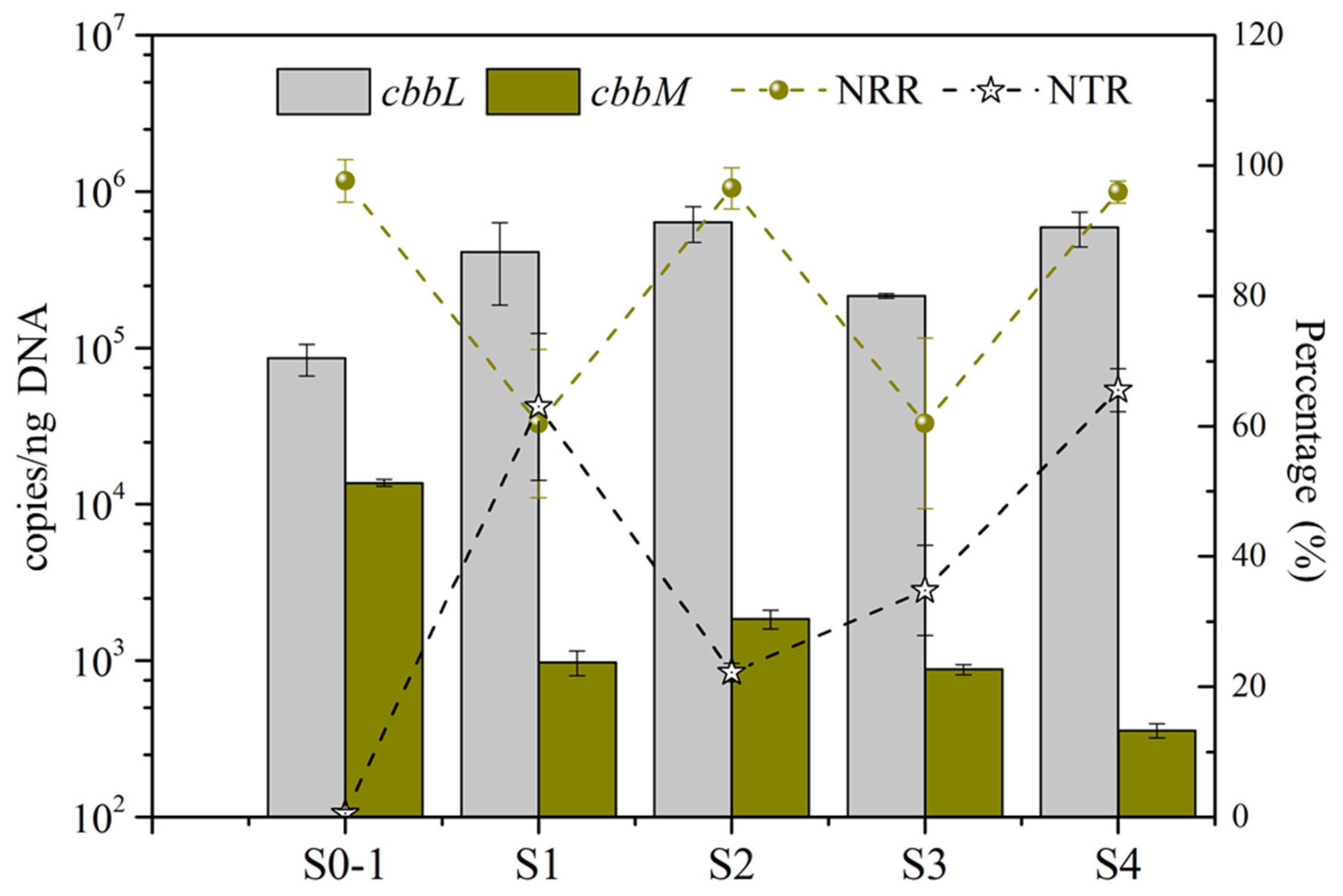 Bioengineering 09 00222 g005
