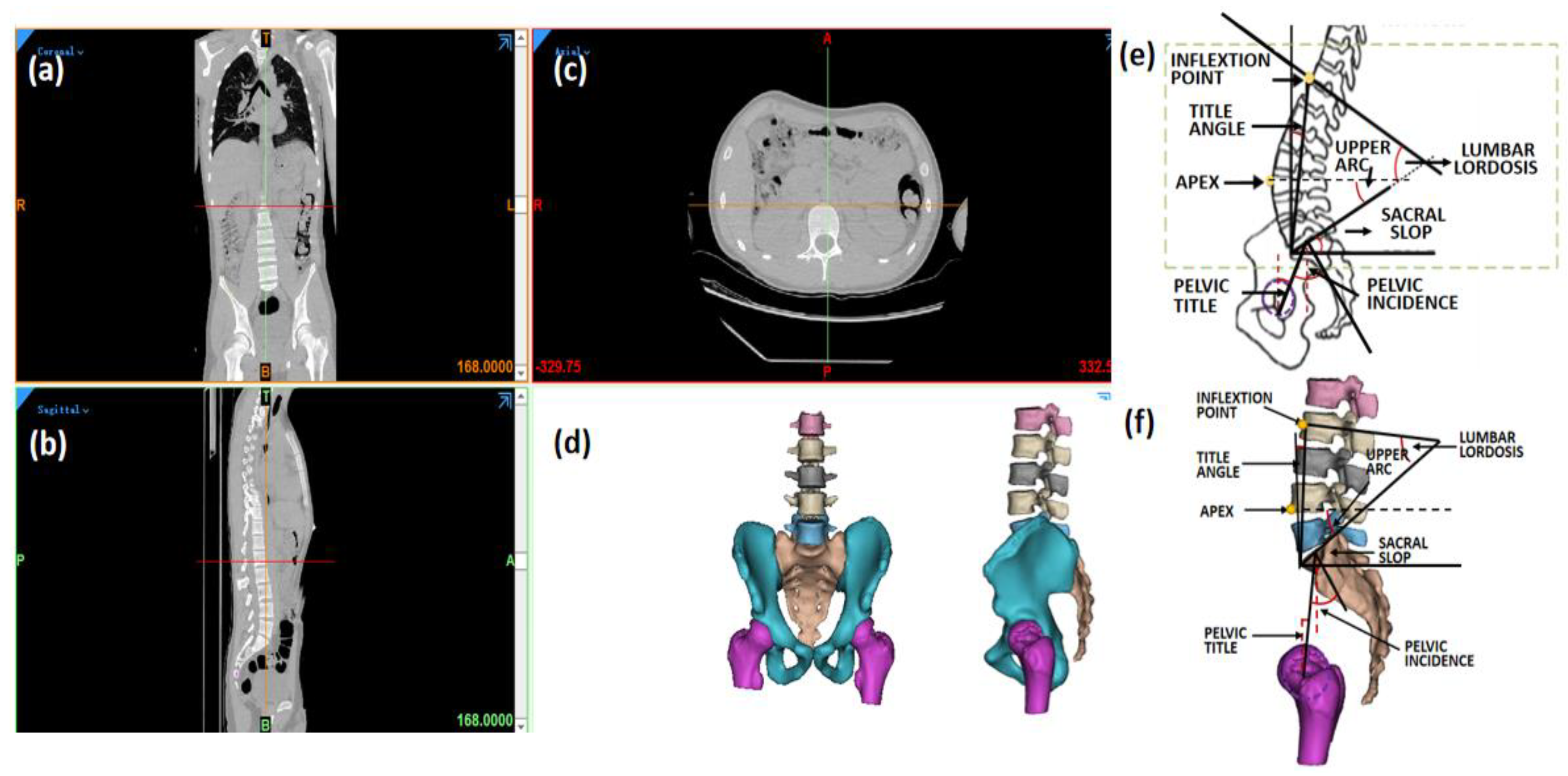 Bioengineering 09 00224 g001