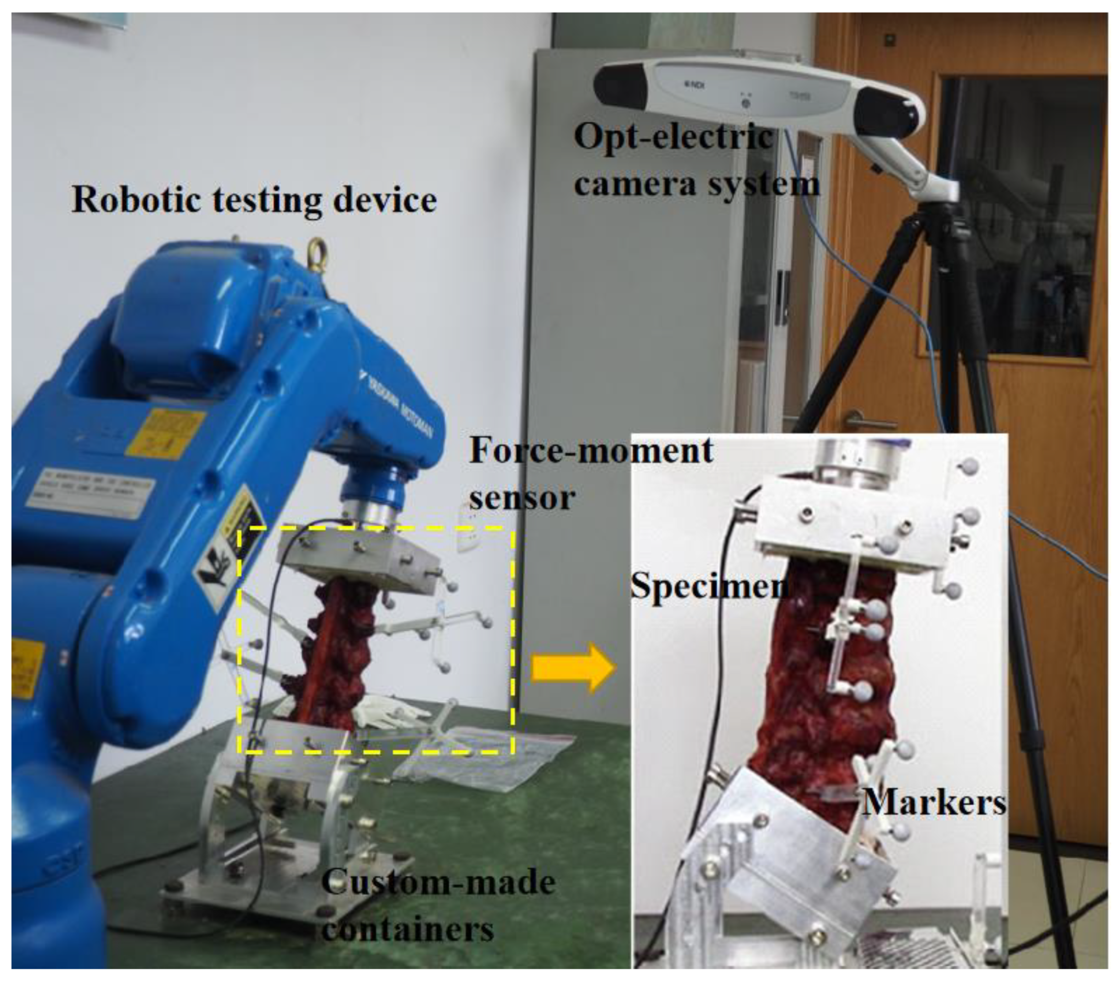 Bioengineering 09 00224 g002