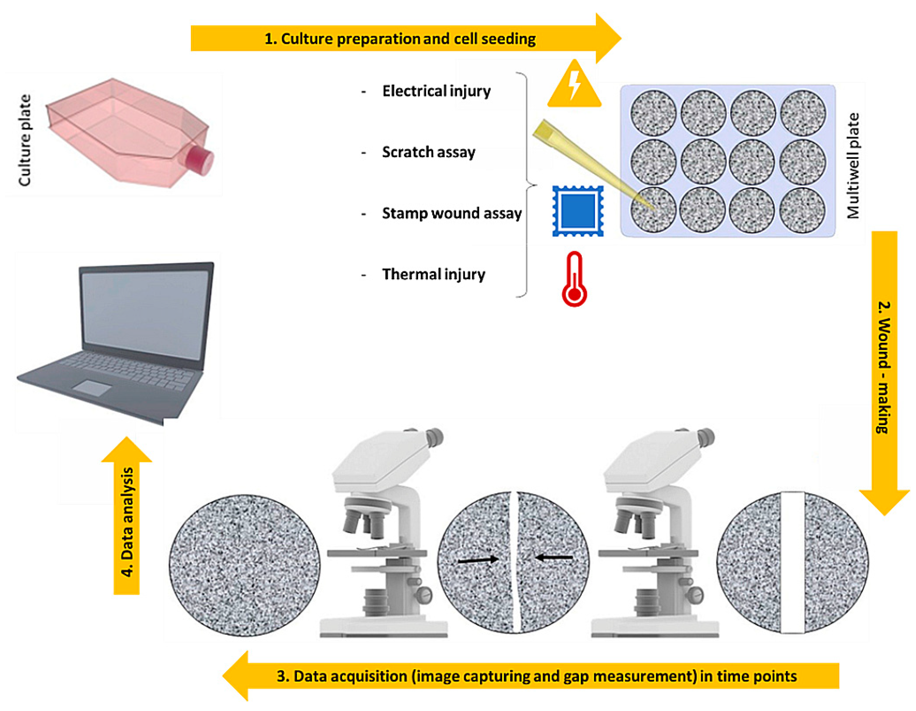 Bioengineering 09 00233 g002