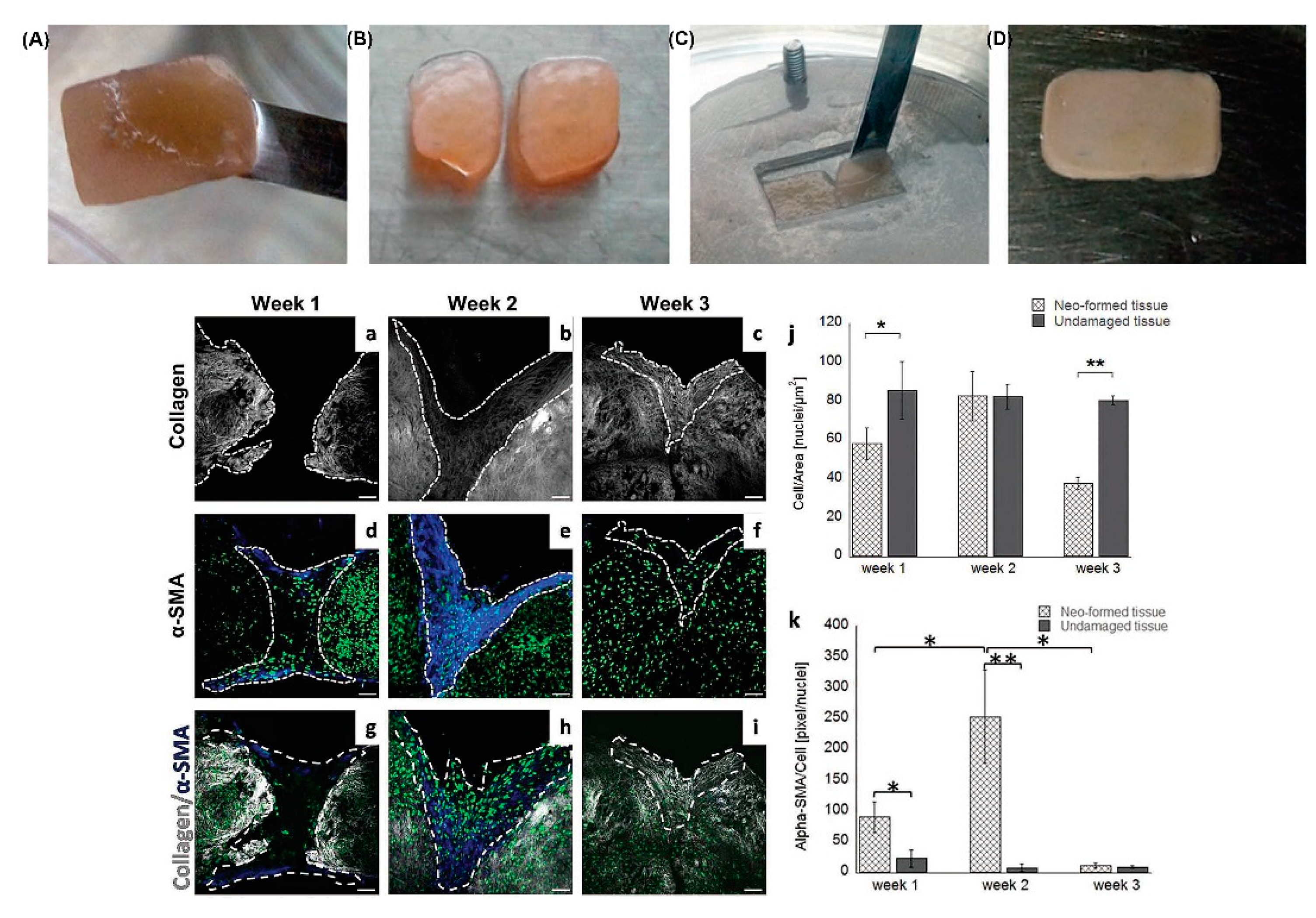 Bioengineering 09 00233 g004