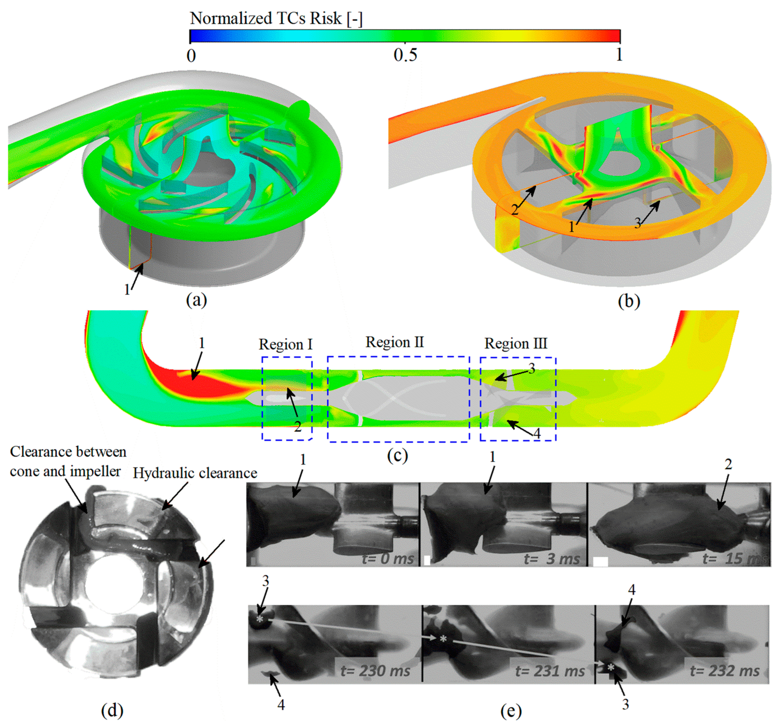 Bioengineering 09 00235 g010