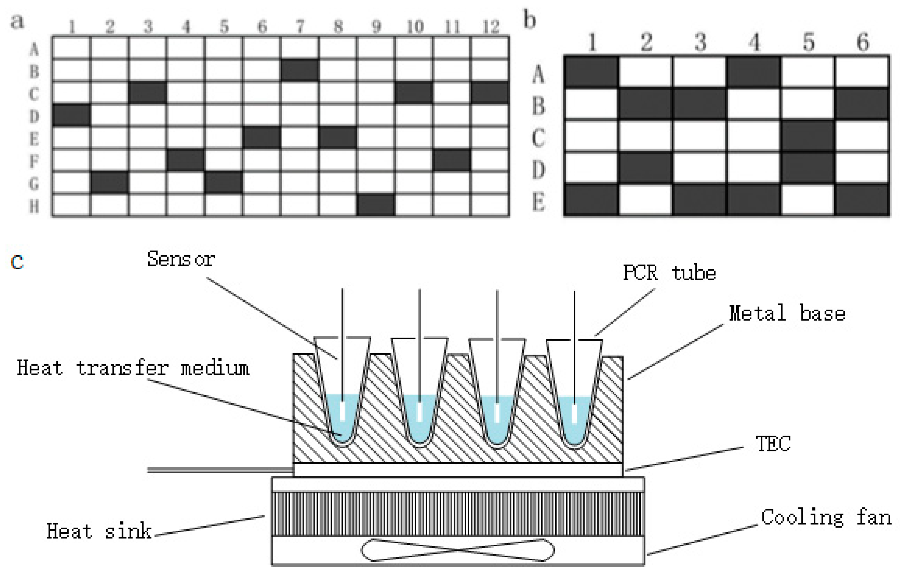 Bioengineering 09 00237 g001