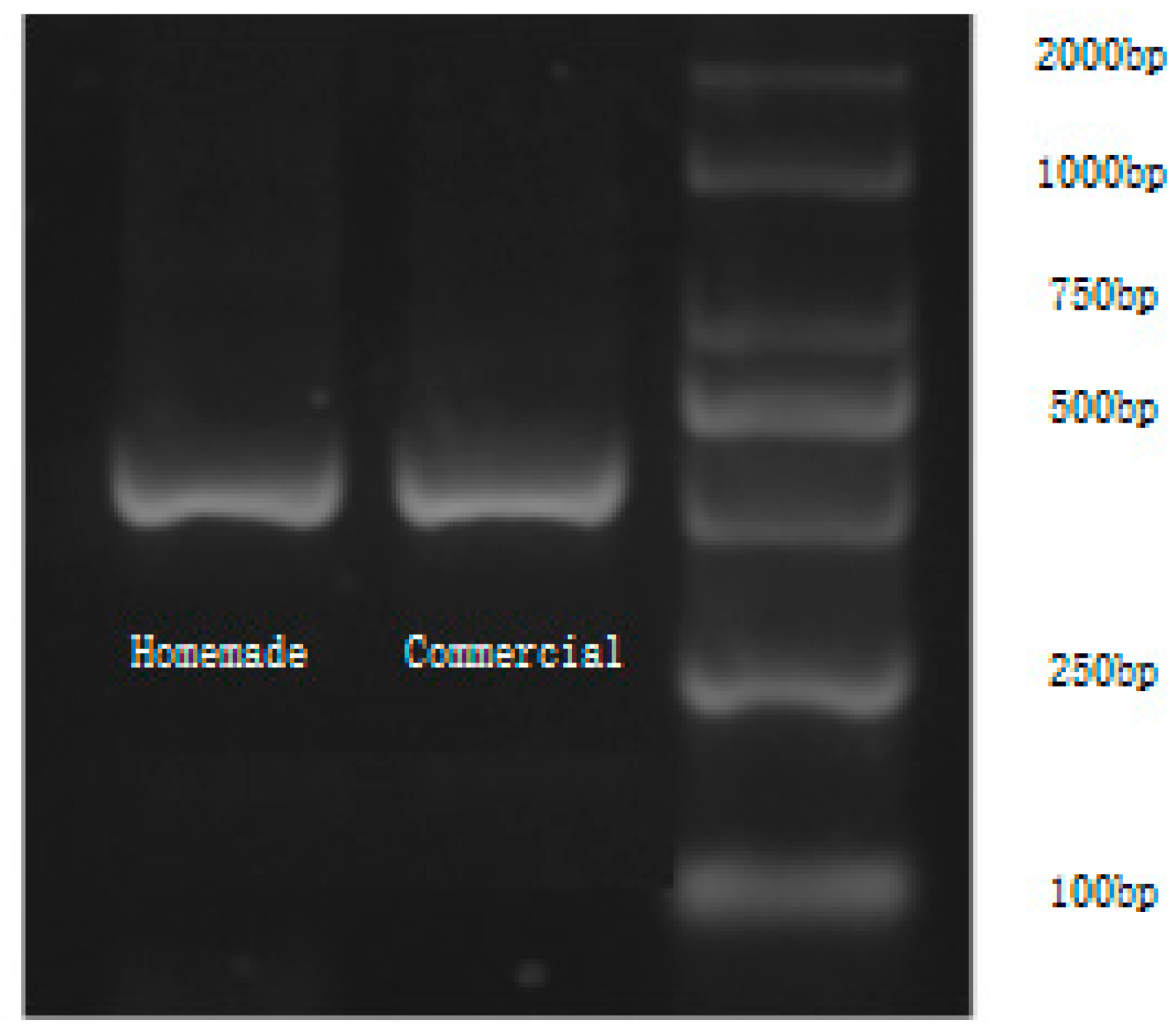 Bioengineering 09 00237 g006