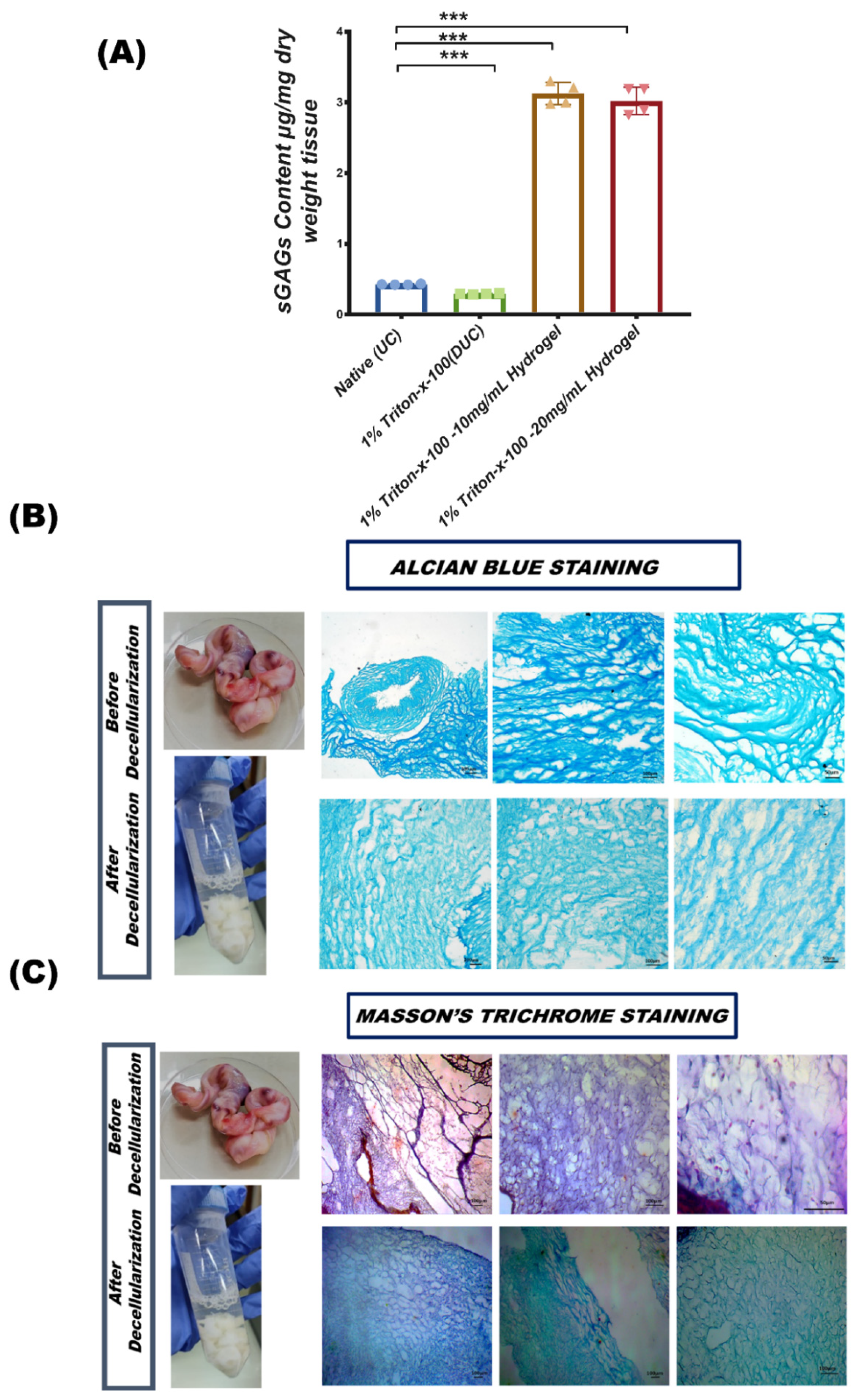 Bioengineering 09 00239 g003
