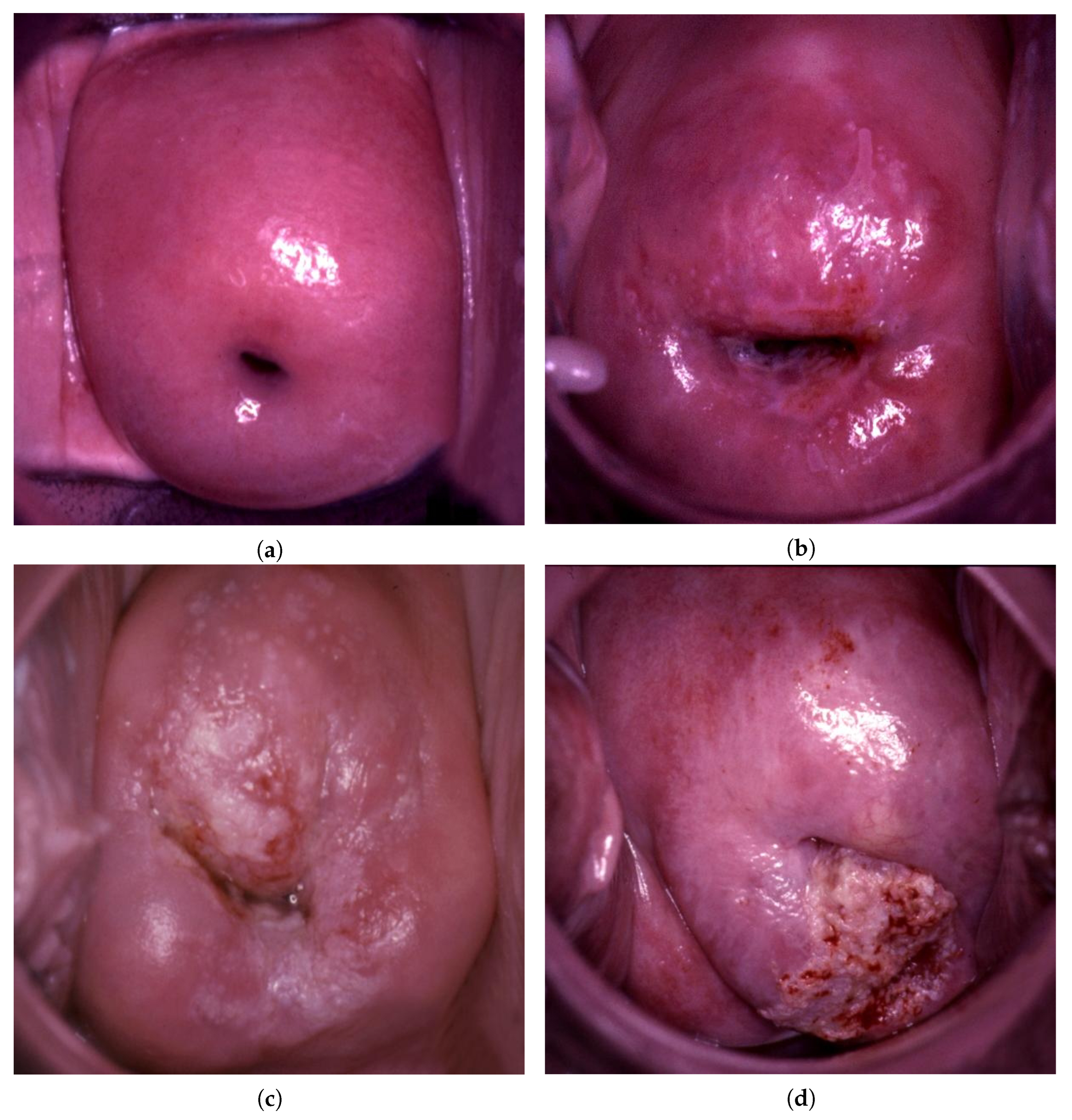 Bioengineering 09 00240 g001