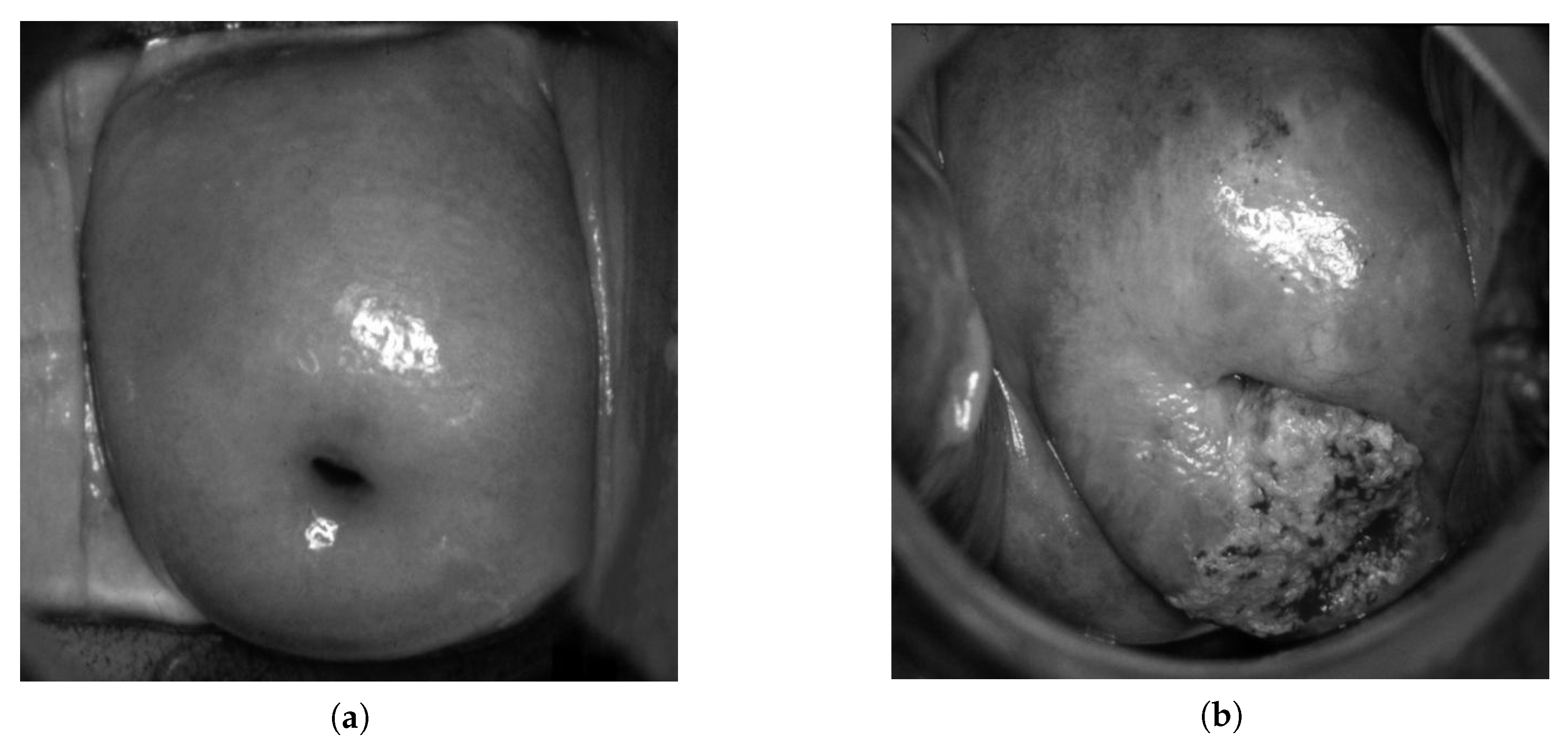 Bioengineering 09 00240 g002
