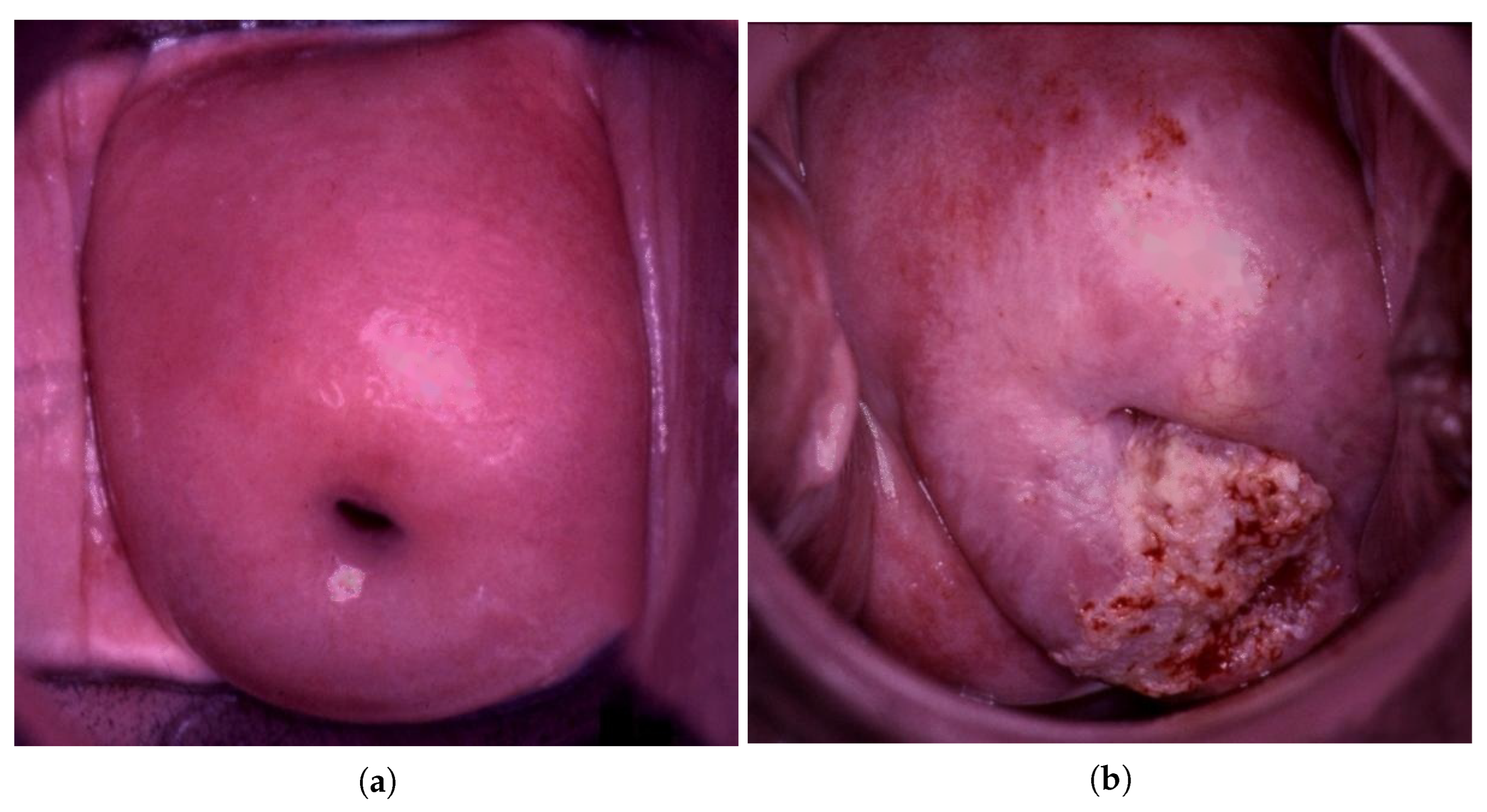 Bioengineering 09 00240 g003