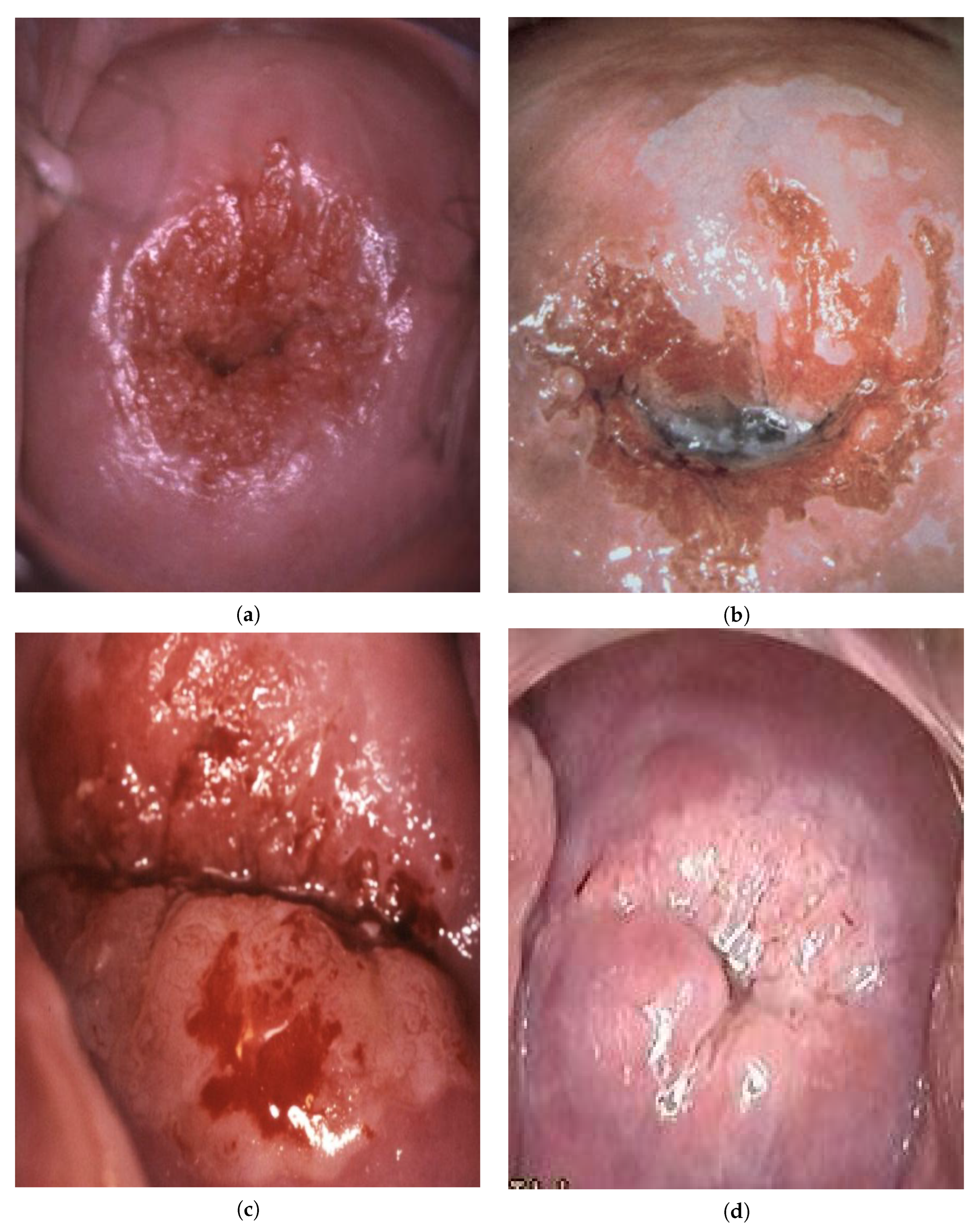 Bioengineering 09 00240 g006