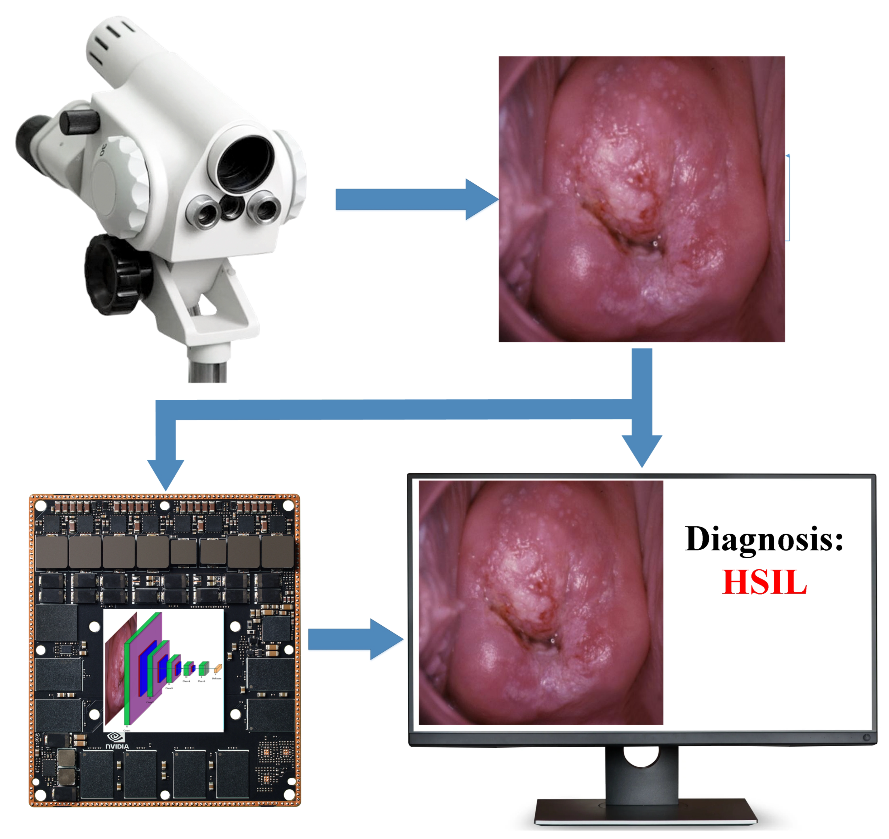 Bioengineering 09 00240 g007