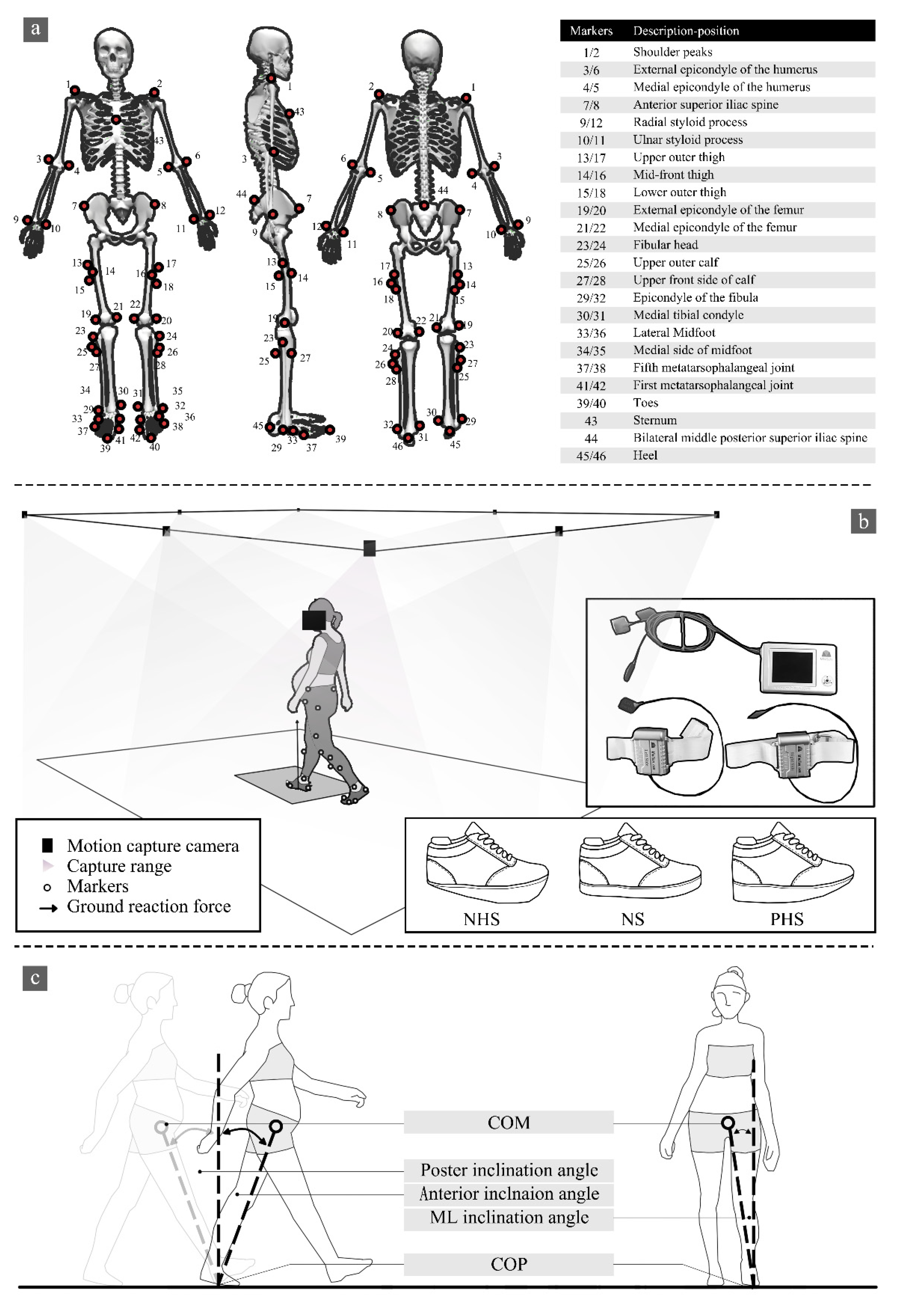 Bioengineering 09 00241 g001