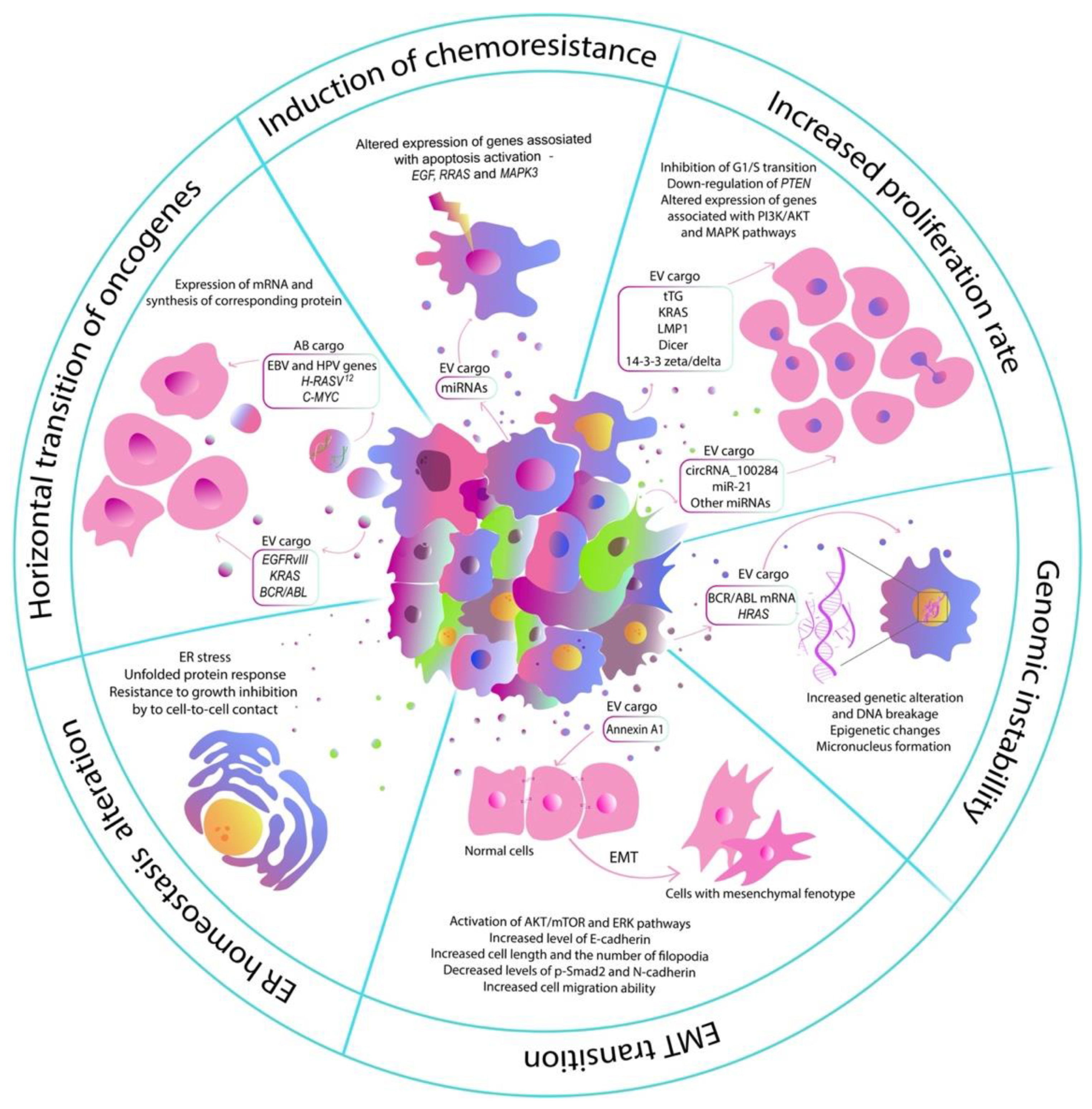 Bioengineering 09 00245 g001