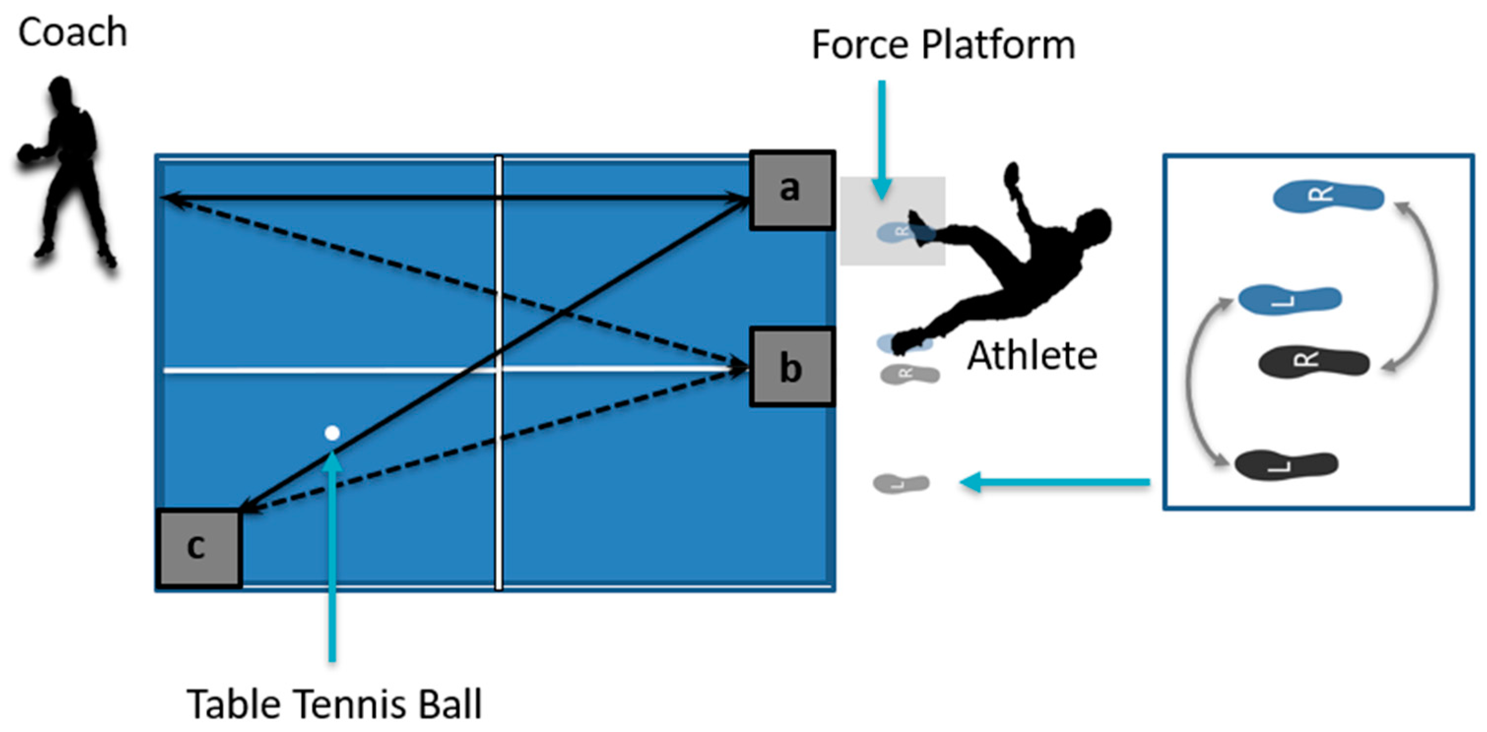Bioengineering 09 00246 g002