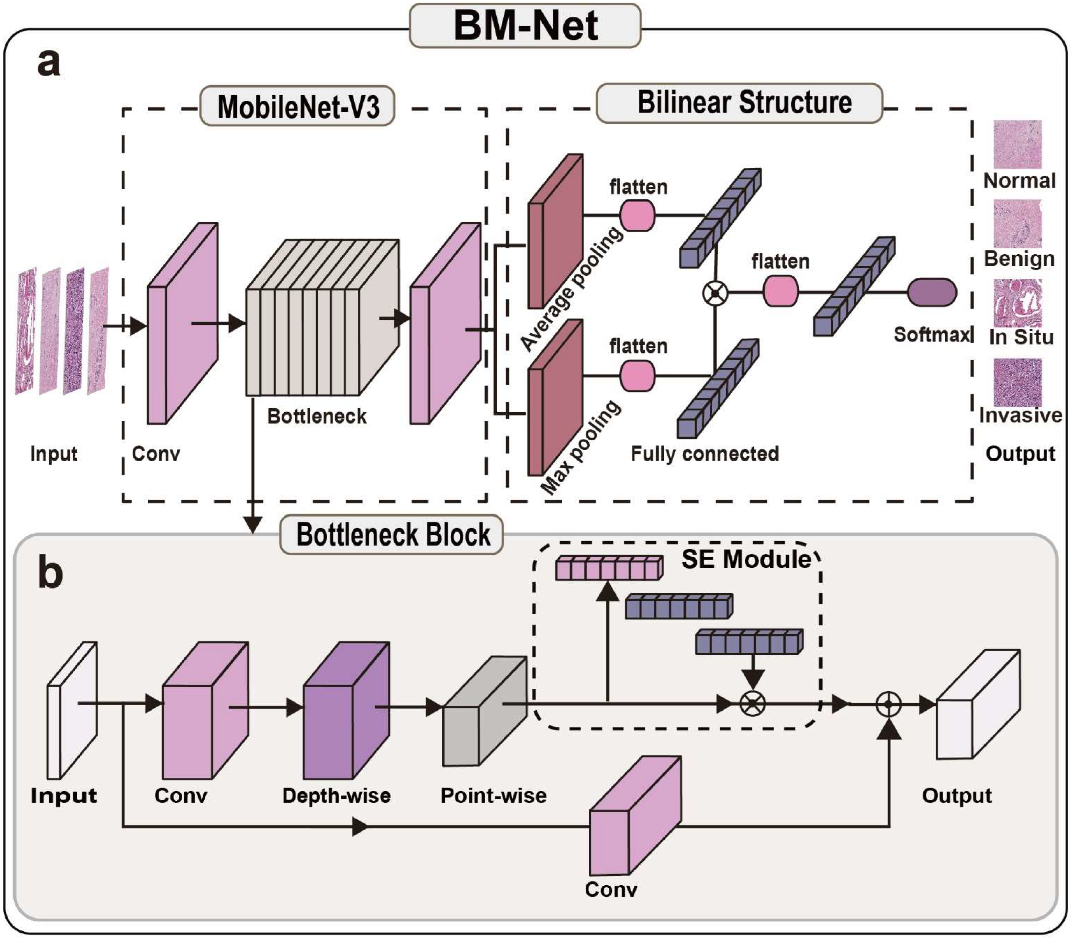 Bioengineering 09 00261 g002