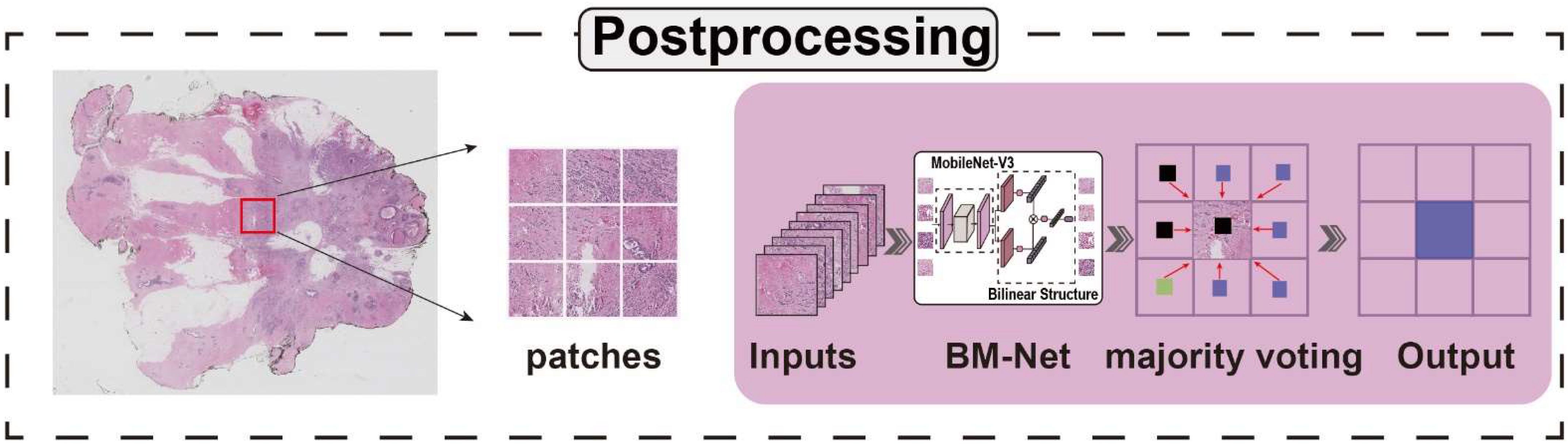 Bioengineering 09 00261 g003
