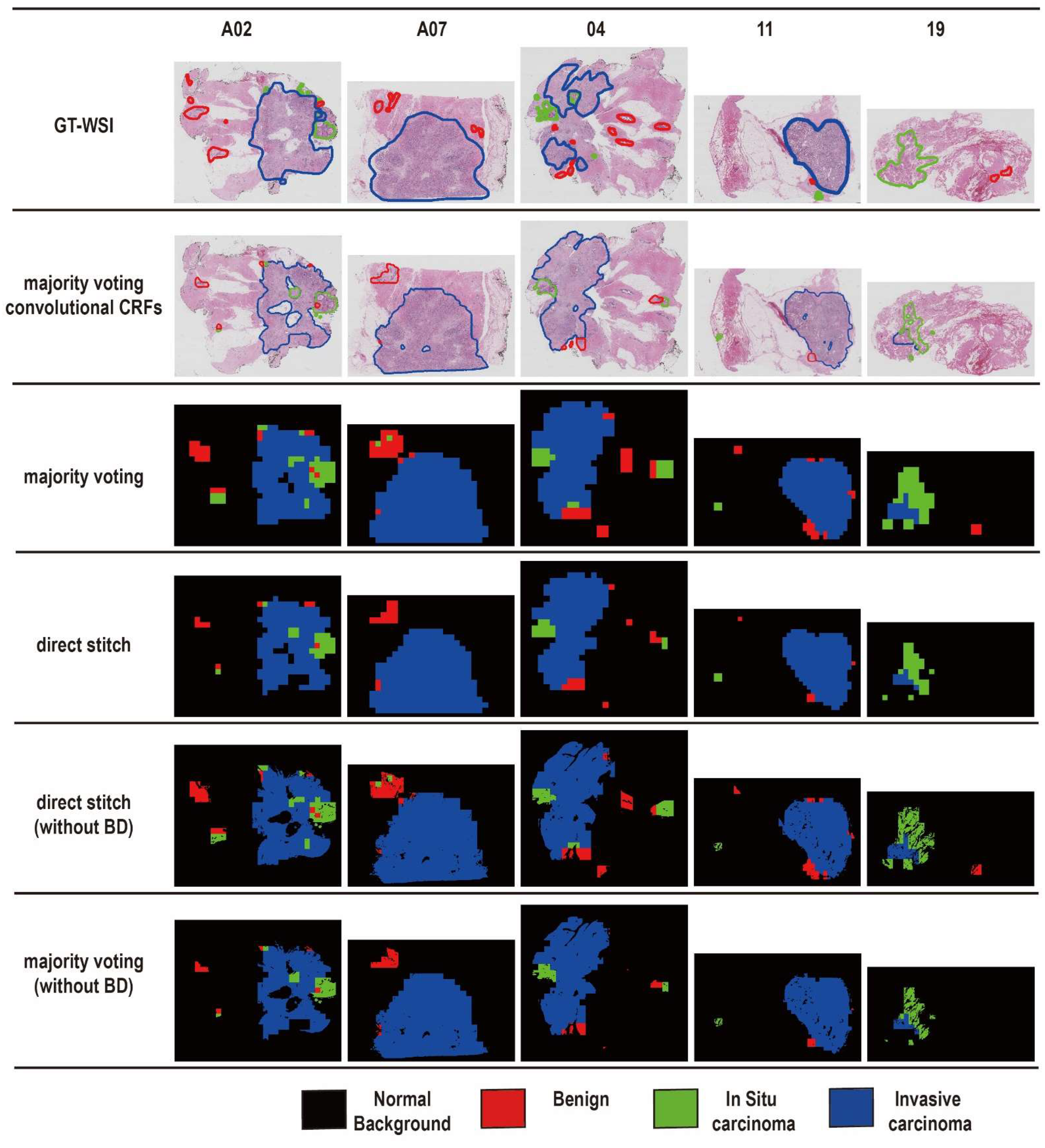 Bioengineering 09 00261 g005