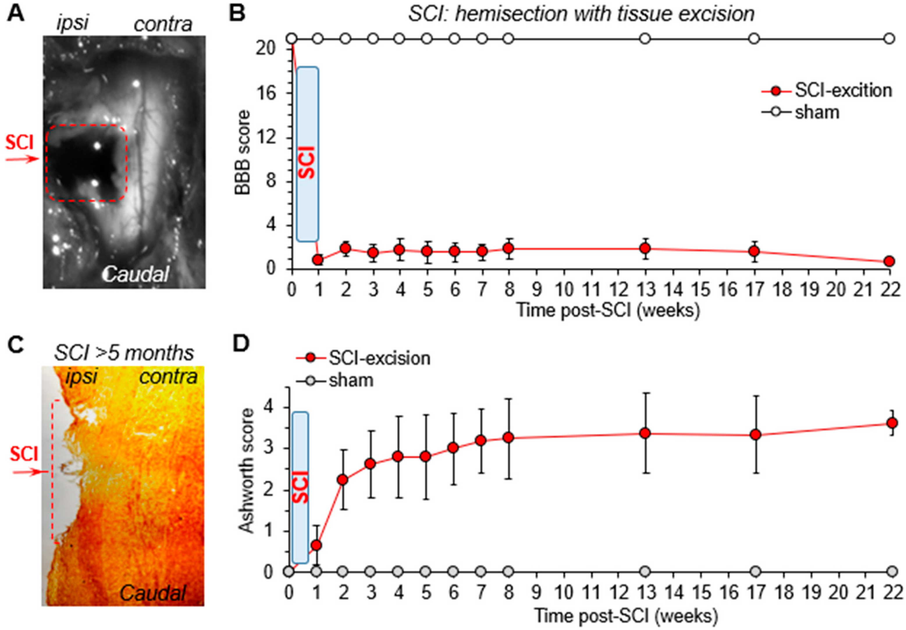 Bioengineering 09 00262 g001 Bioengineering 09 00262 g001