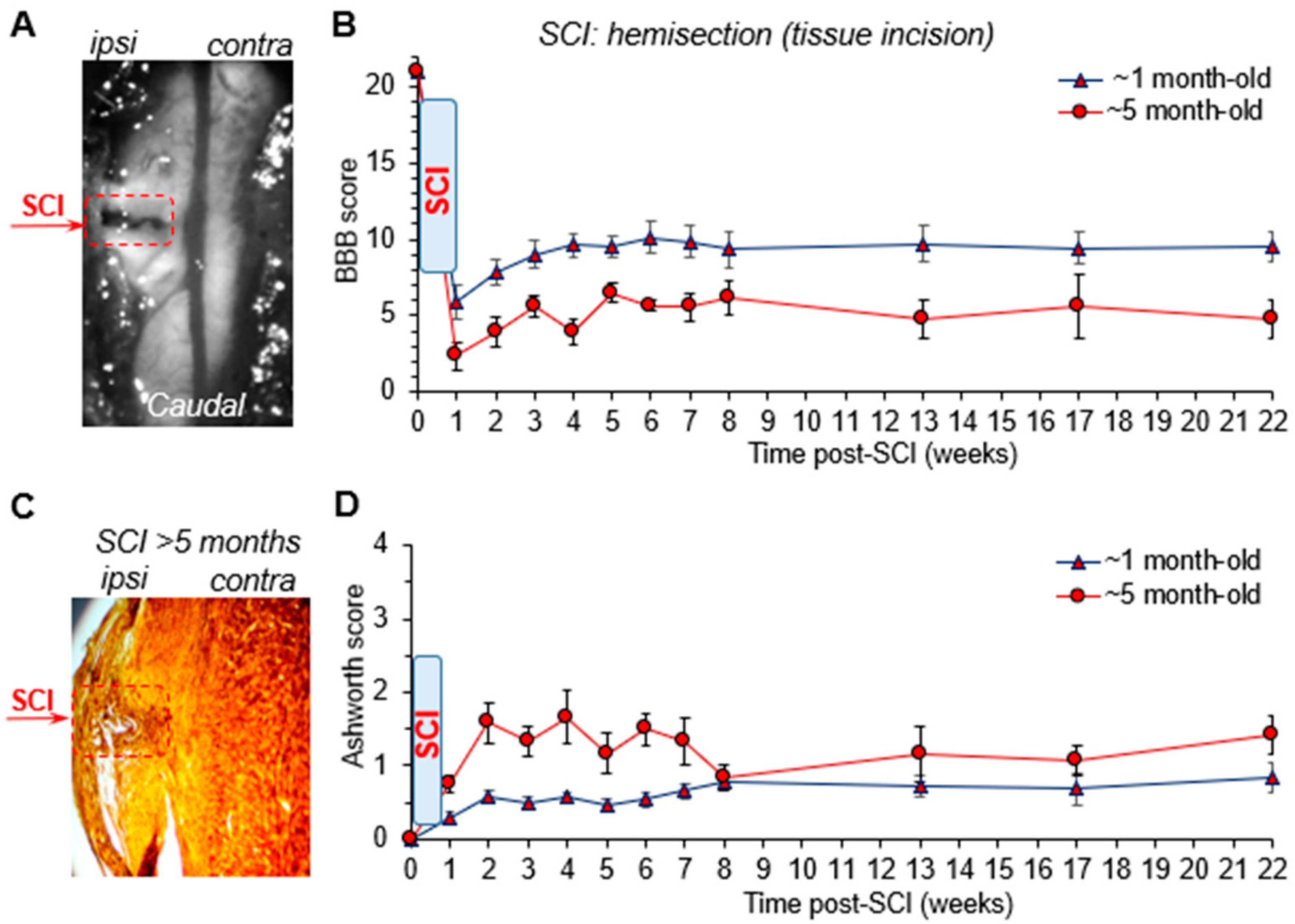 Bioengineering 09 00262 g002 Bioengineering 09 00262 g002