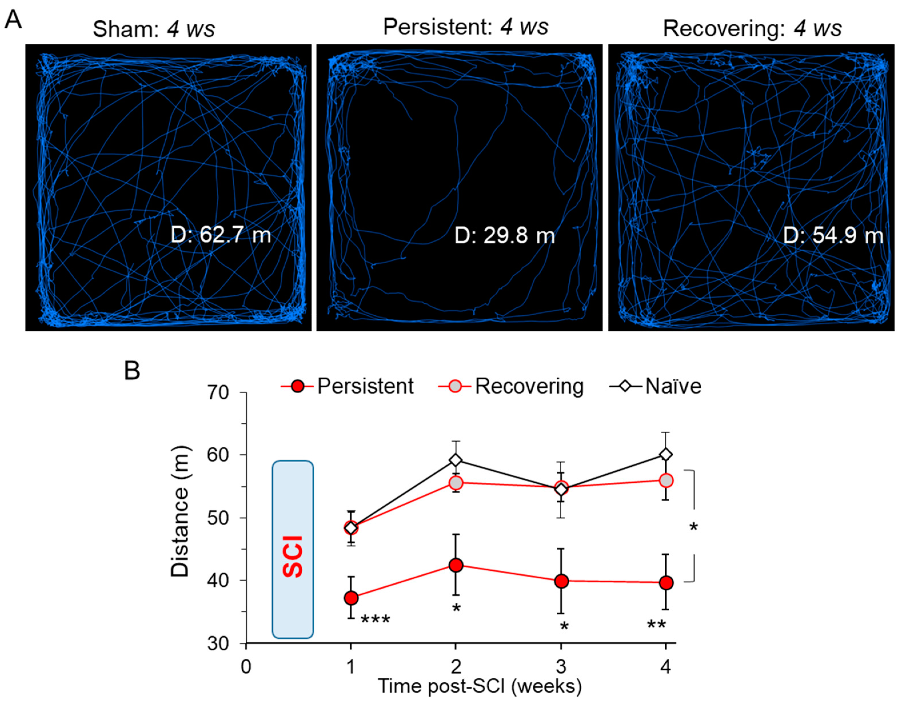 Bioengineering 09 00262 g004 Bioengineering 09 00262 g004